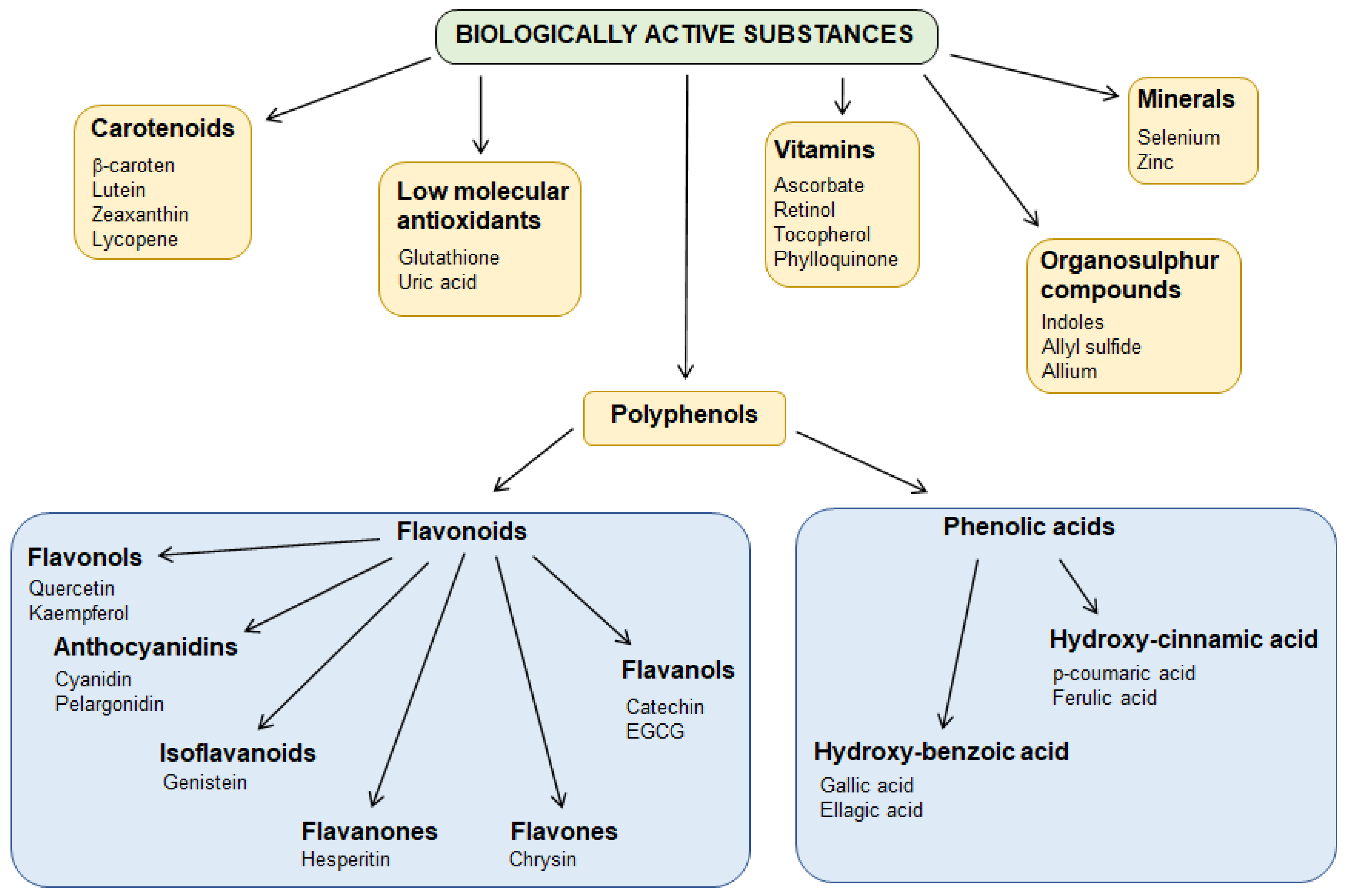 Ijerph 19 12380 g002 Ijerph 19 12380 g002