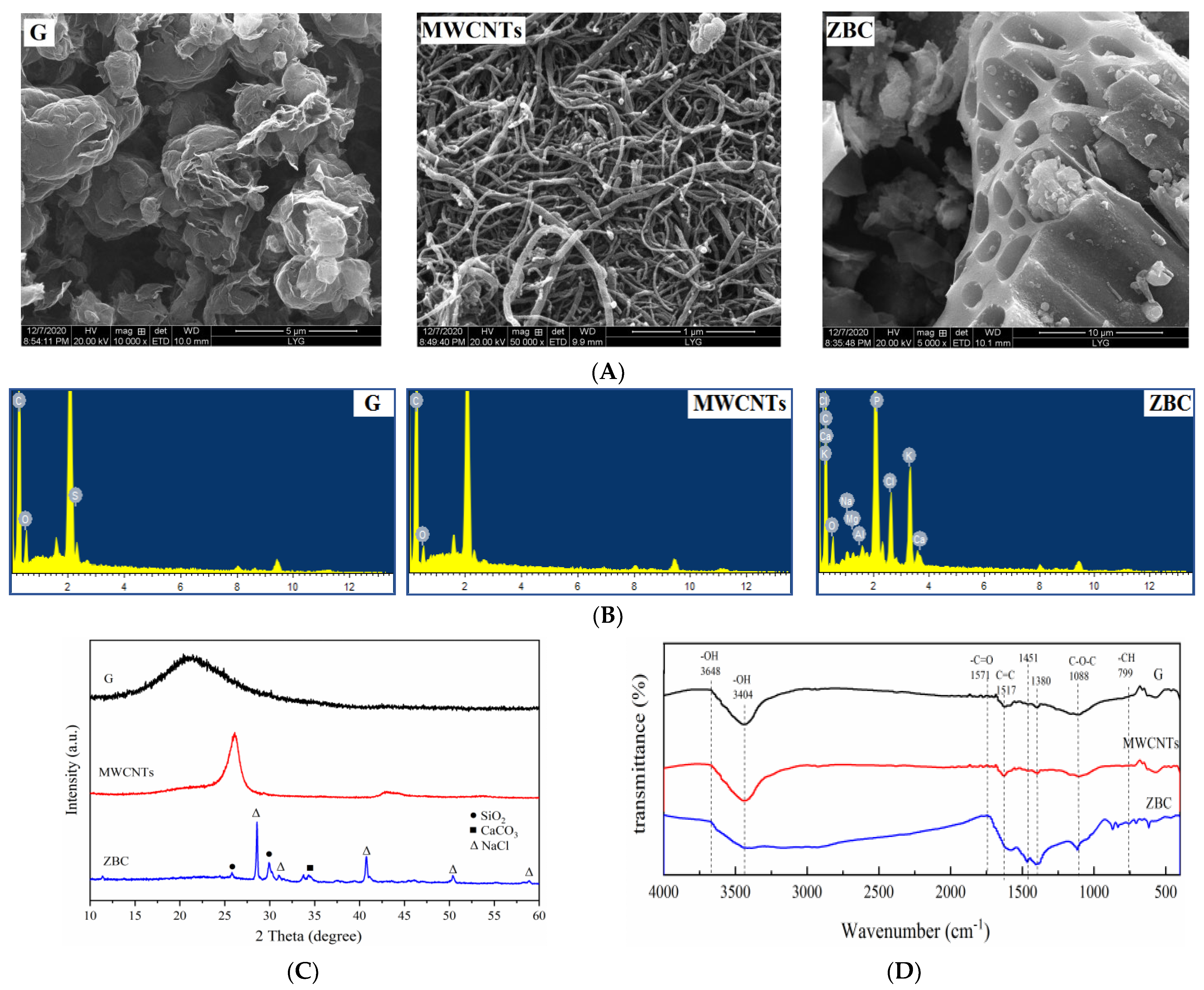 Ijerph 19 12381 g001