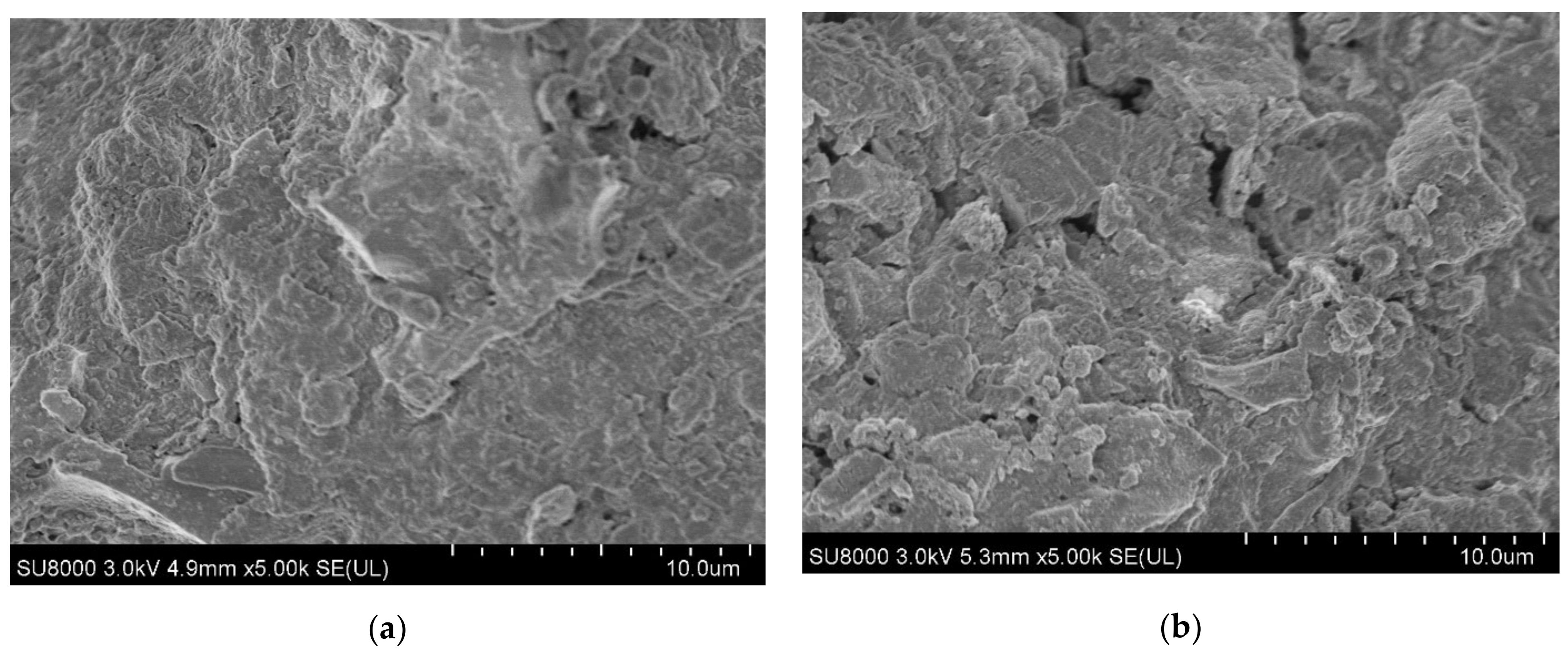 Ijerph 19 12405 g002