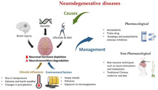 IJERPH Free Full Text Neurodegenerative Diseases Implications Of presymptomatic-genetic-testing-for-neurodegenerative-diseases-journal