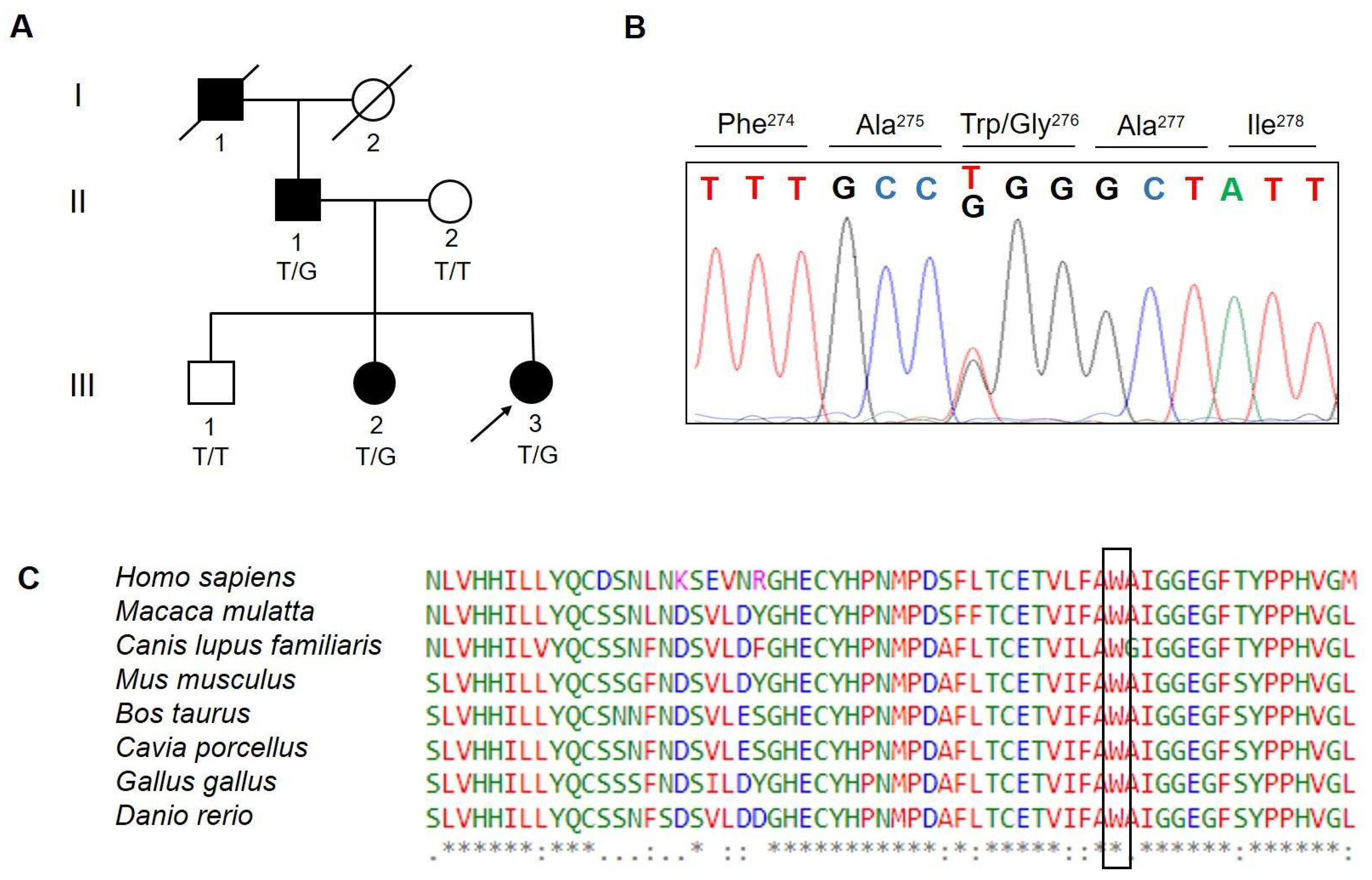 Ijerph 19 12548 g001 Ijerph 19 12548 g001