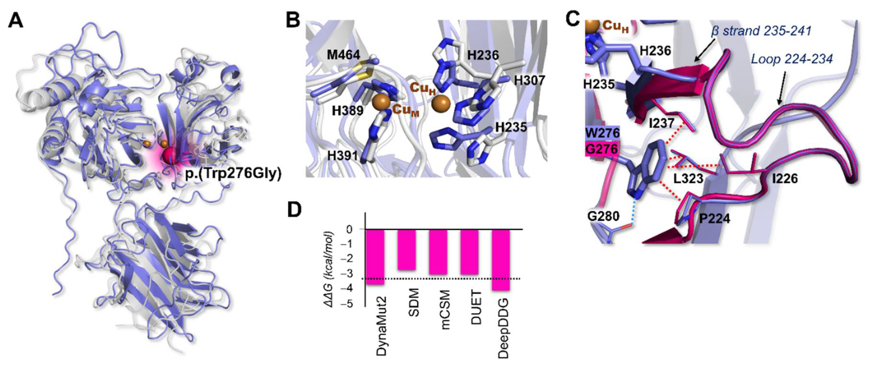 Ijerph 19 12548 g002 Ijerph 19 12548 g002
