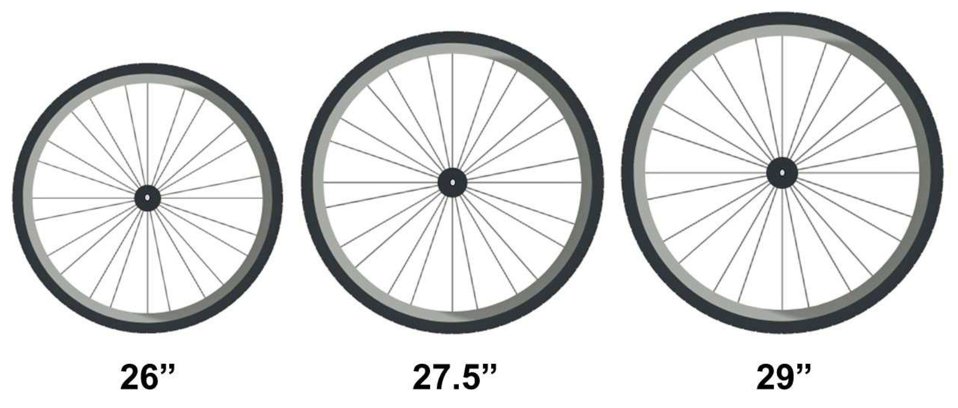 IJERPH Free FullText Current Perspectives of CrossCountry