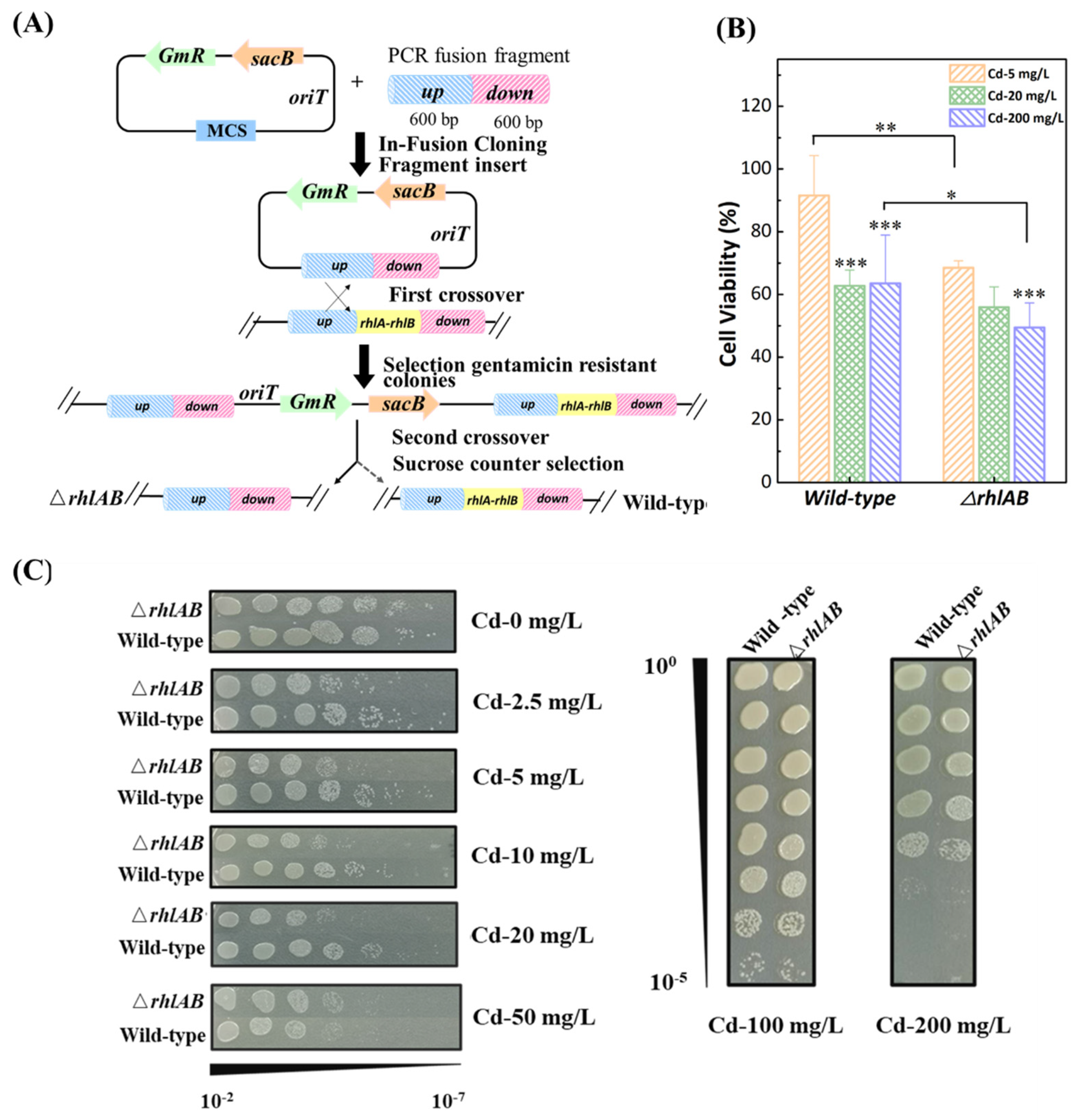 Ijerph 19 12555 g001