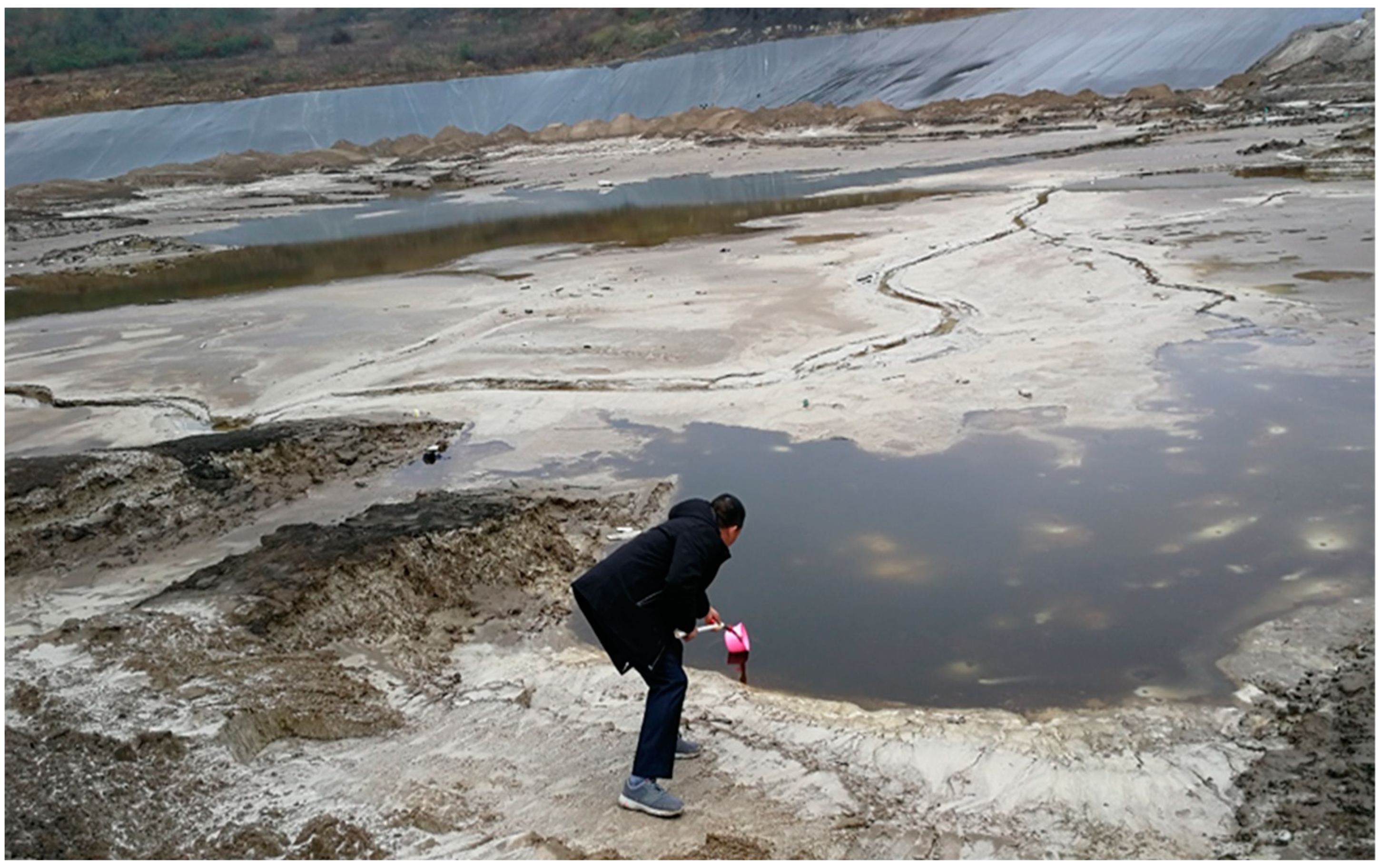 Ijerph 19 12617 g002 Ijerph 19 12617 g002