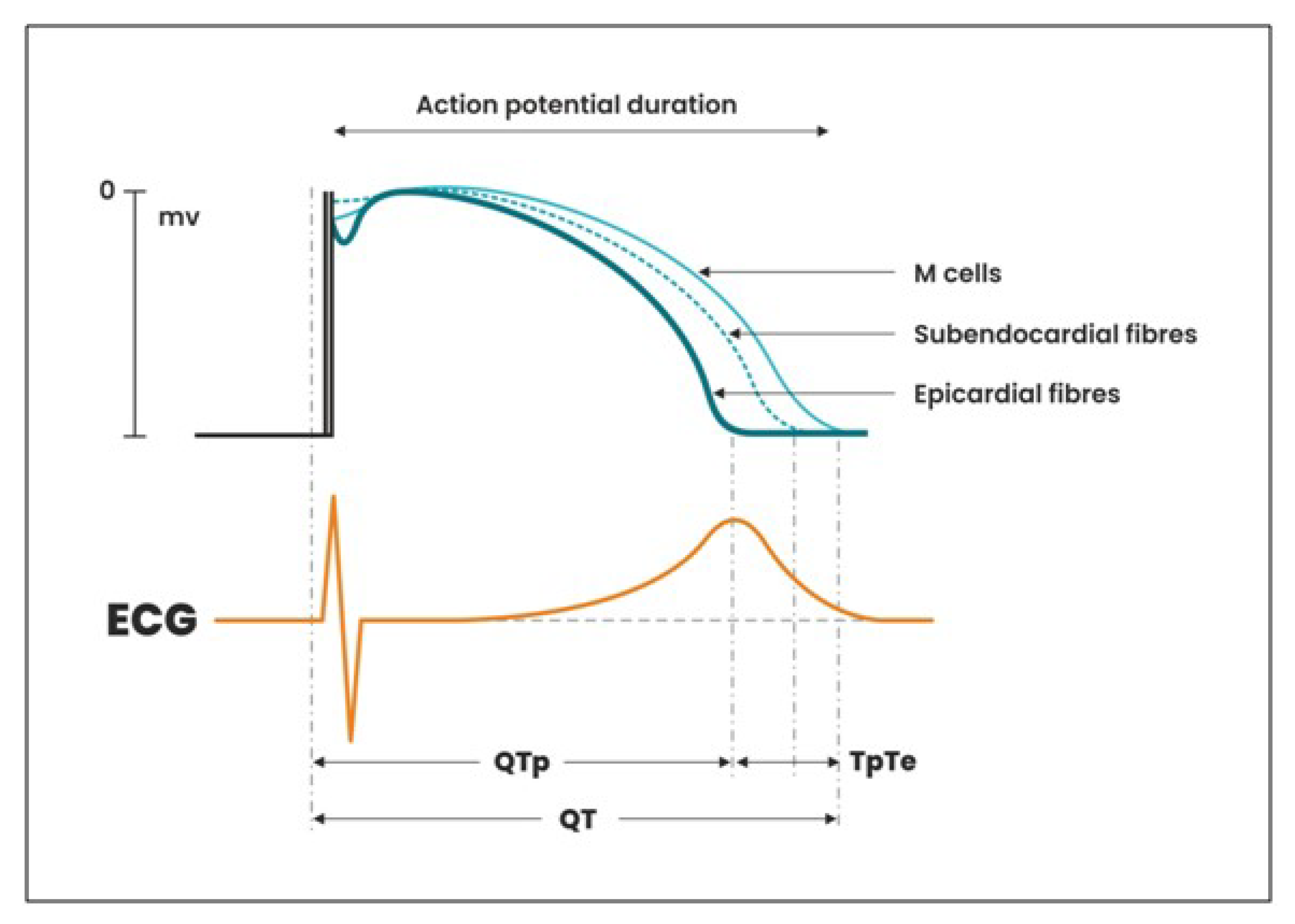 gabapentin qtc prolongation