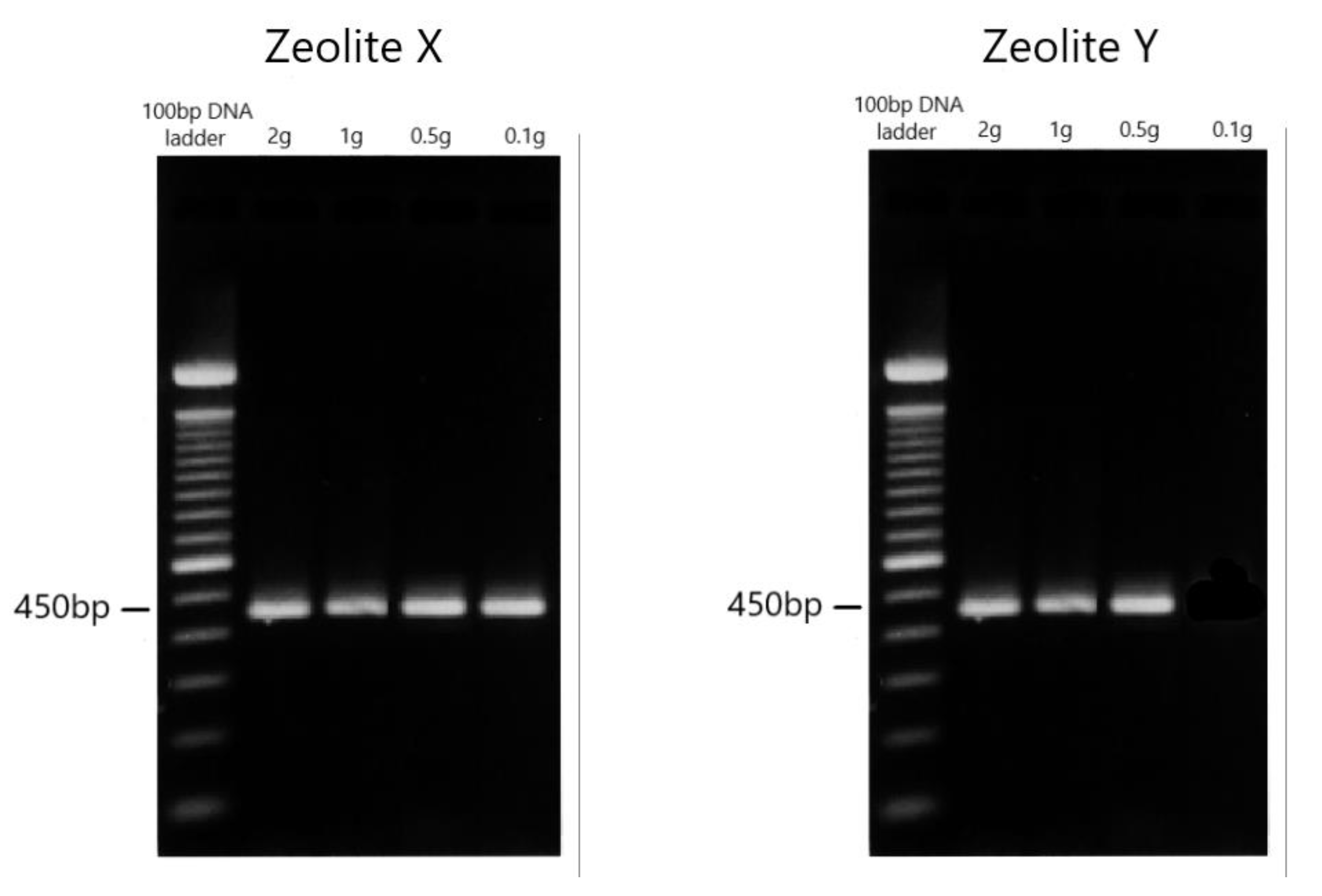 Ijerph 19 12675 g001