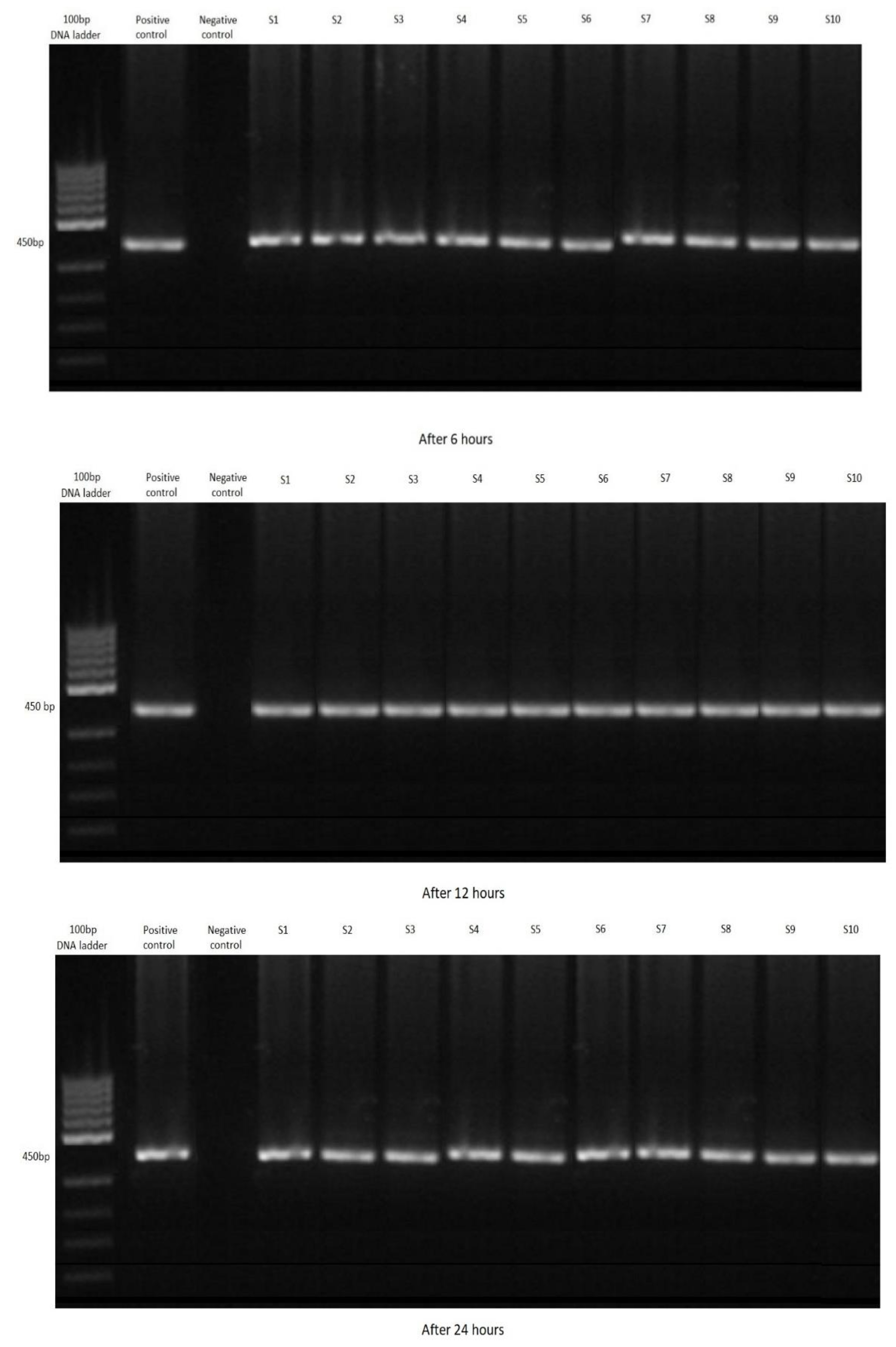 Ijerph 19 12675 g002