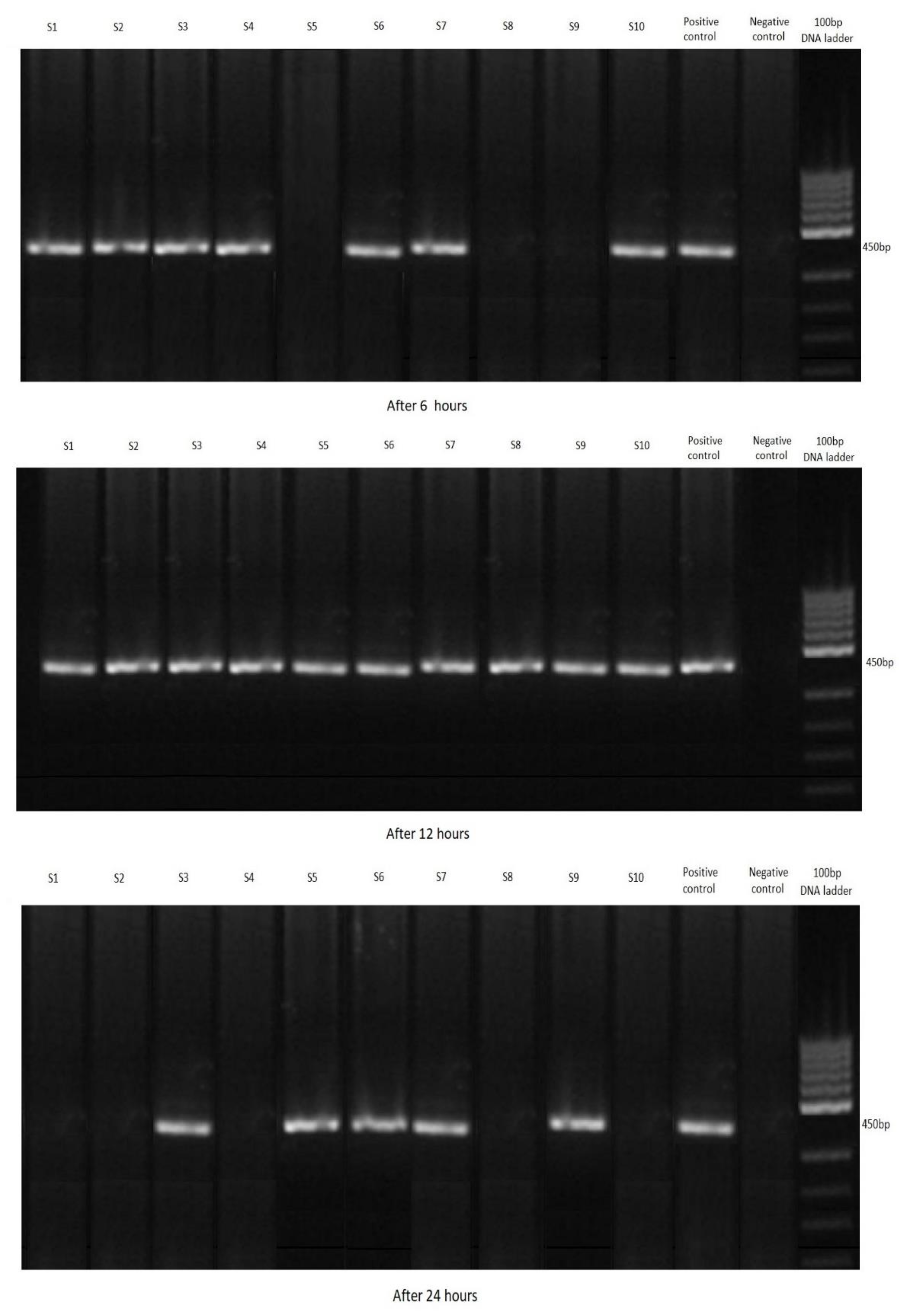 Ijerph 19 12675 g003