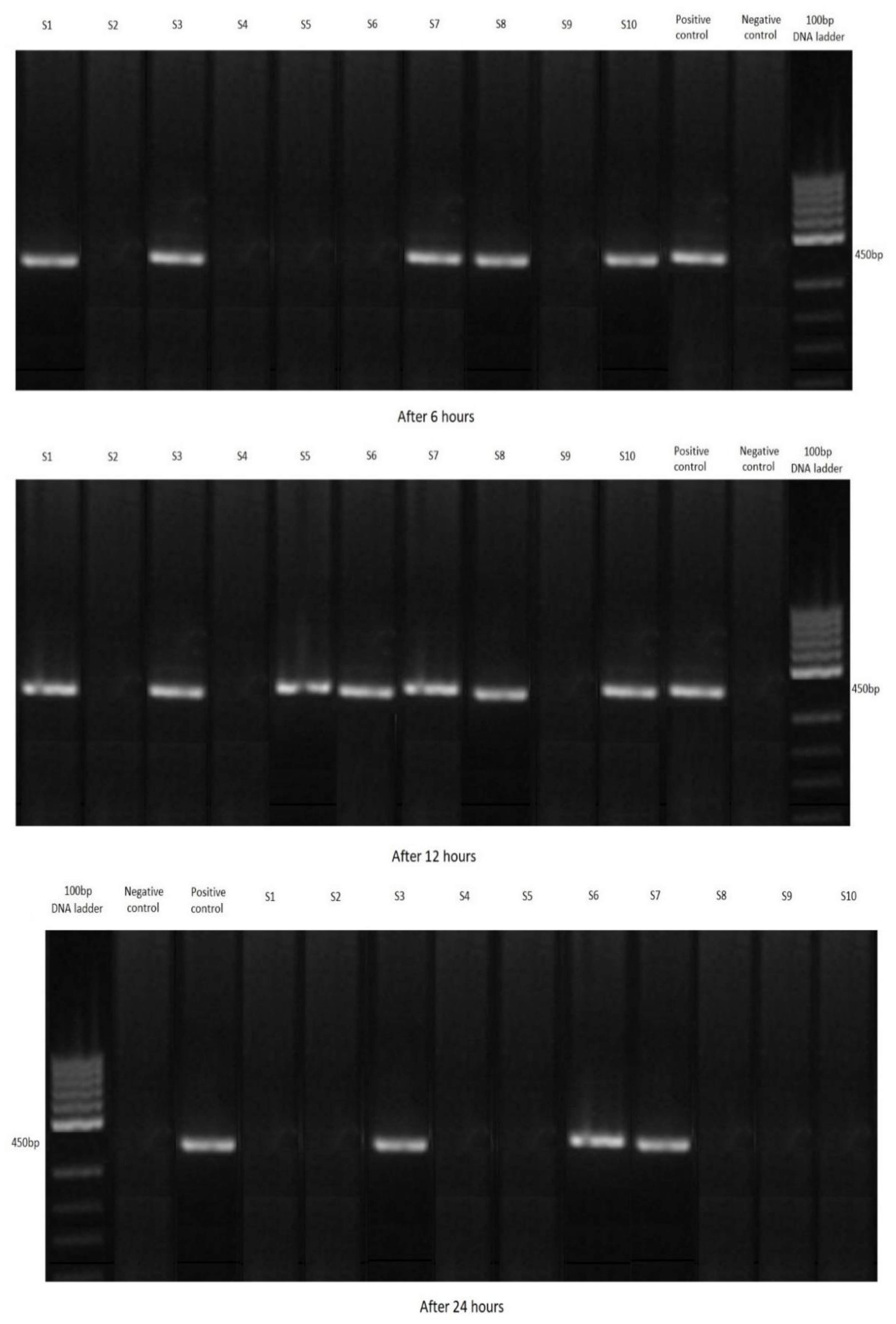 Ijerph 19 12675 g004