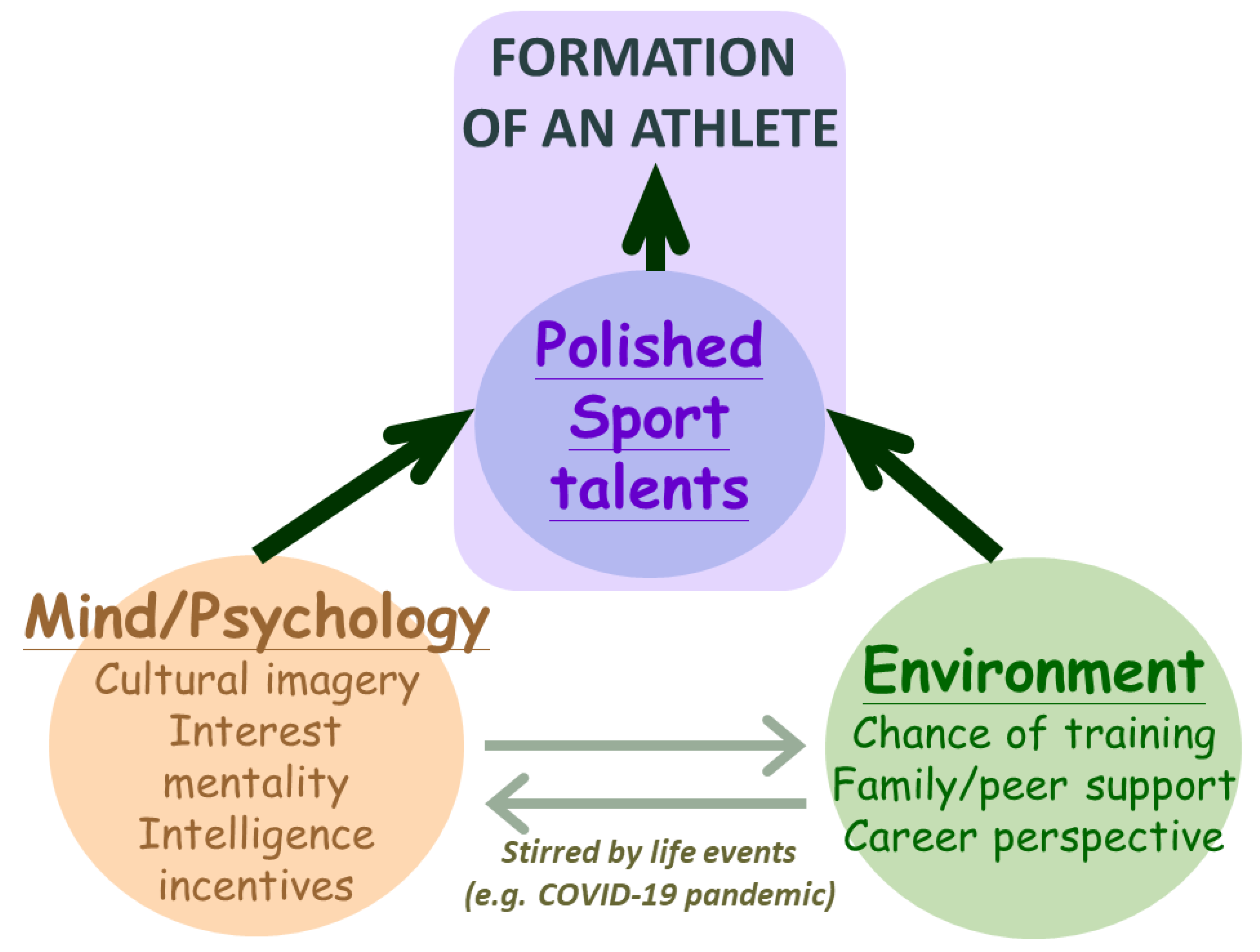 PDF) The athlete triangle: Coach, athlete and parents as an educational  system