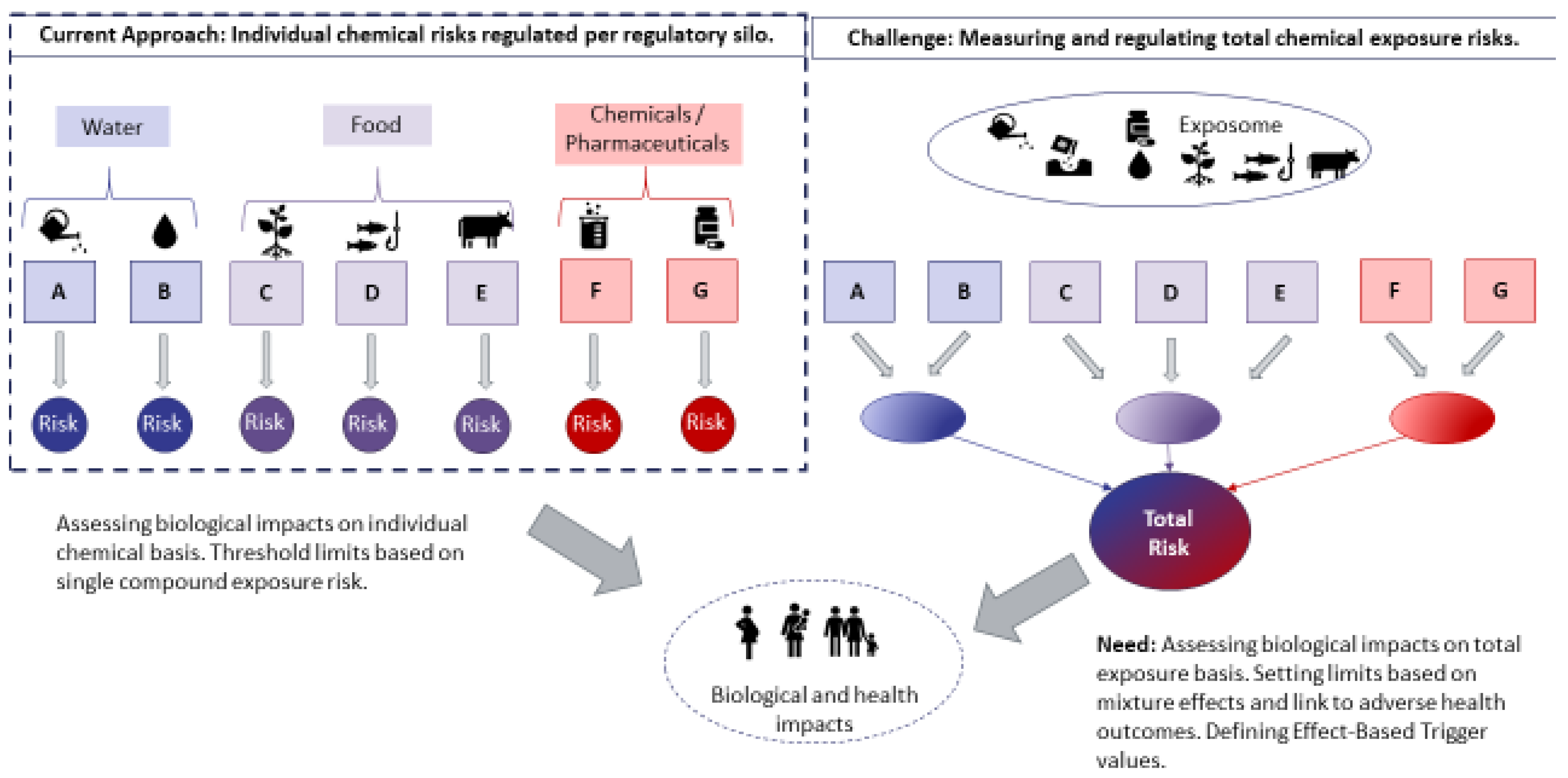 PDF) Development of a framework based on an ecosystem services approach for  deriving specific protection goals for environmental risk assessment of  pesticides