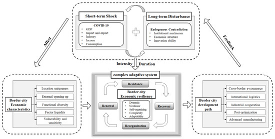 Borderland Economic Resilience under COVID-19: Evidence from China