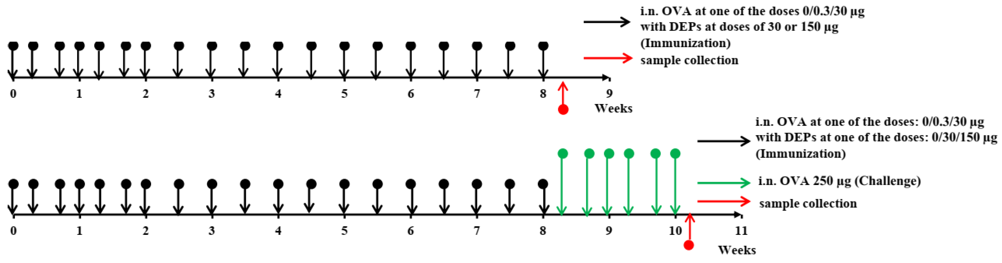 Ijerph 19 13063 g001