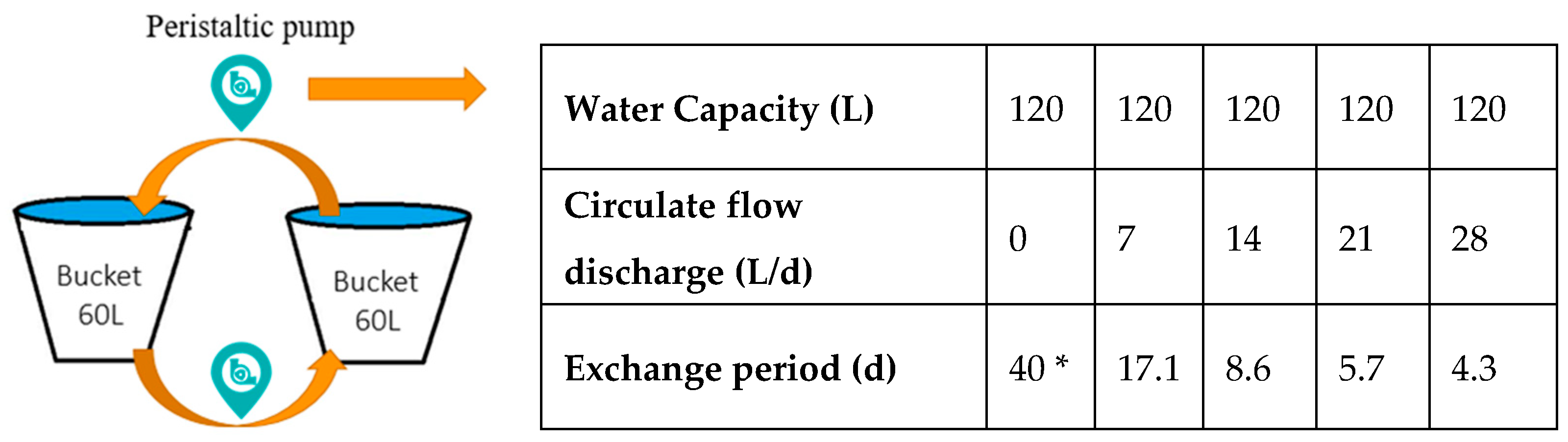 Ijerph 19 13091 g001