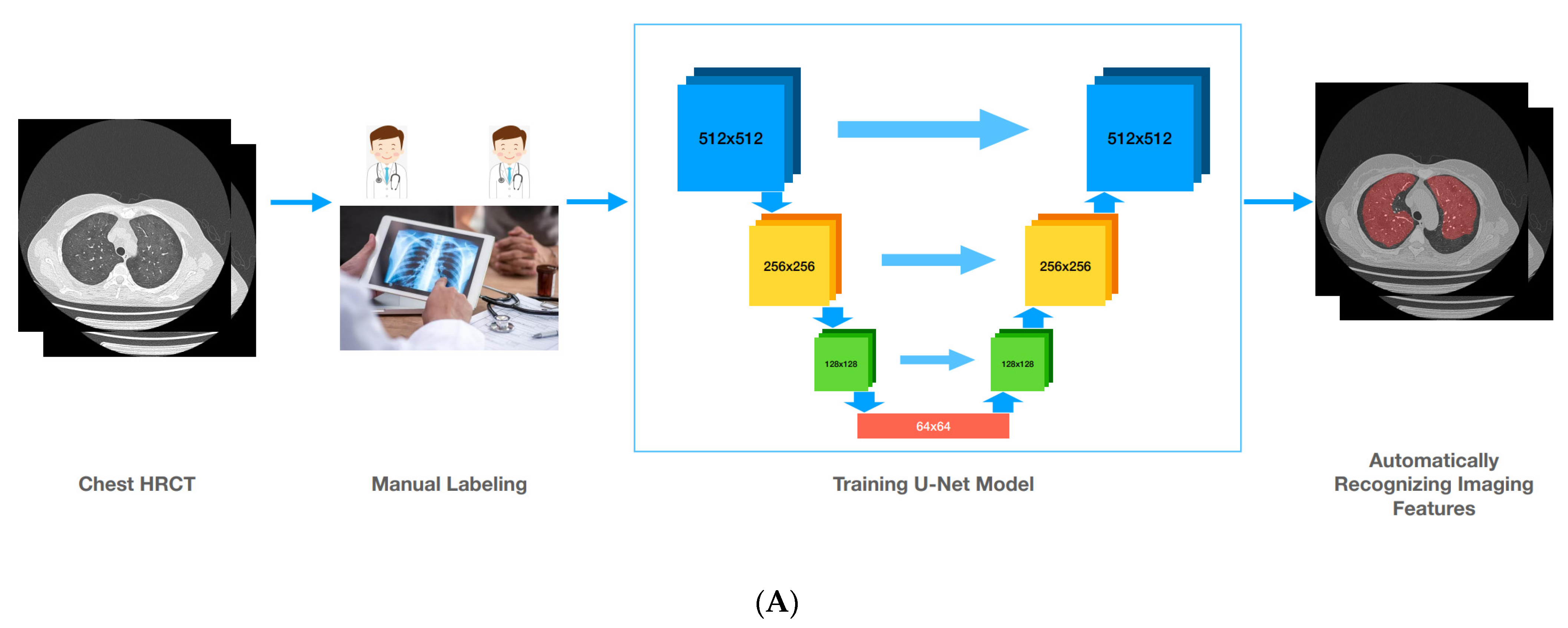 Ijerph 19 13099 g002a