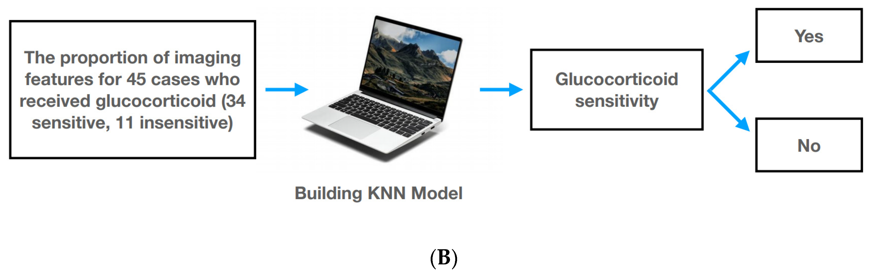 Ijerph 19 13099 g002b