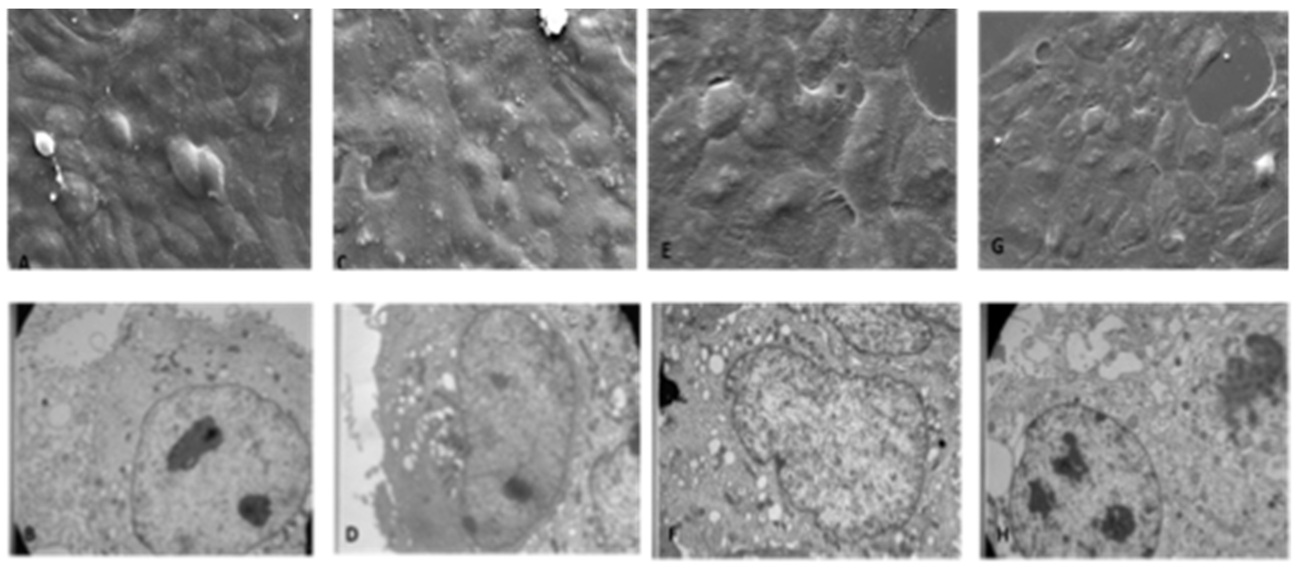 Ijerph 19 13163 g002