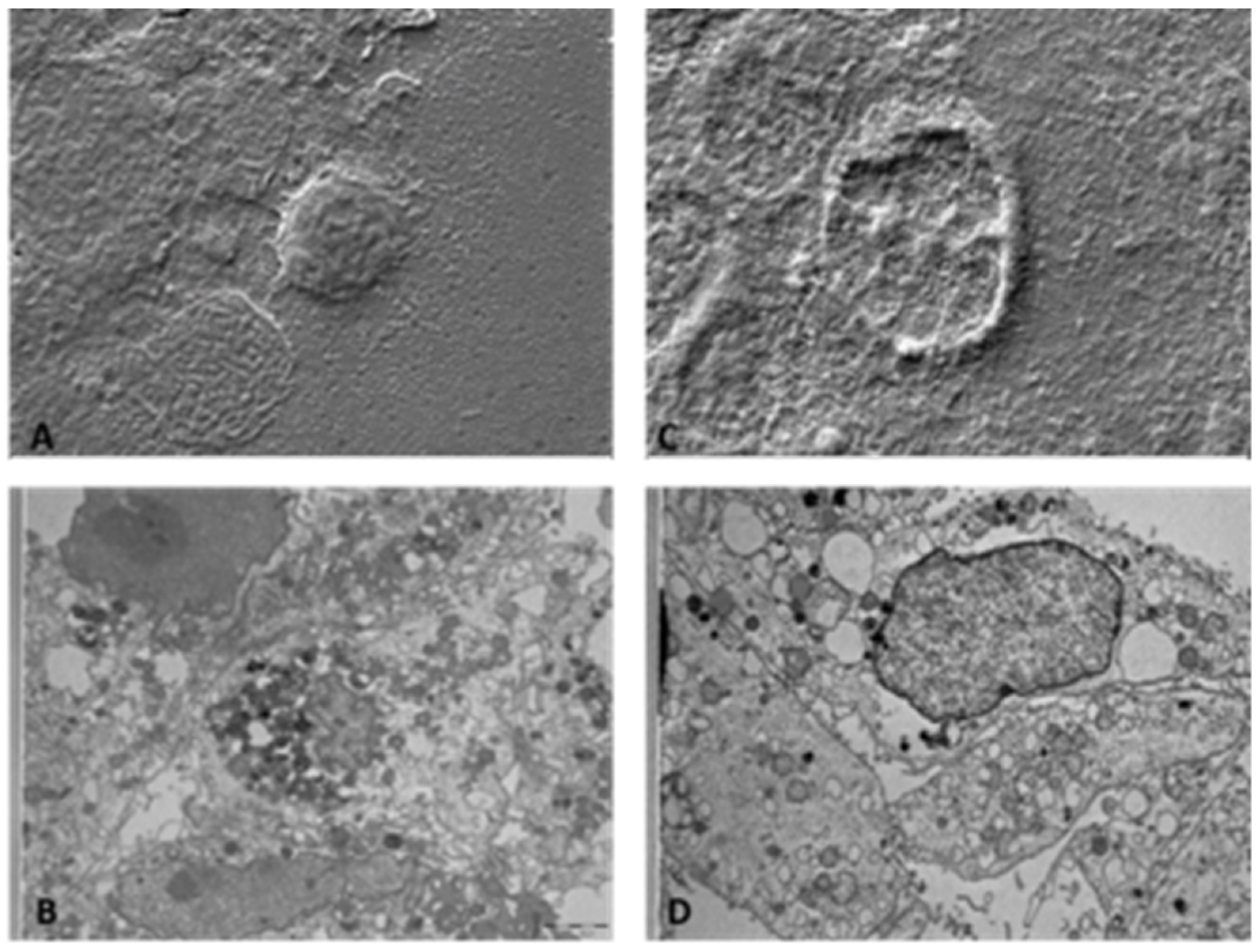 Ijerph 19 13163 g004