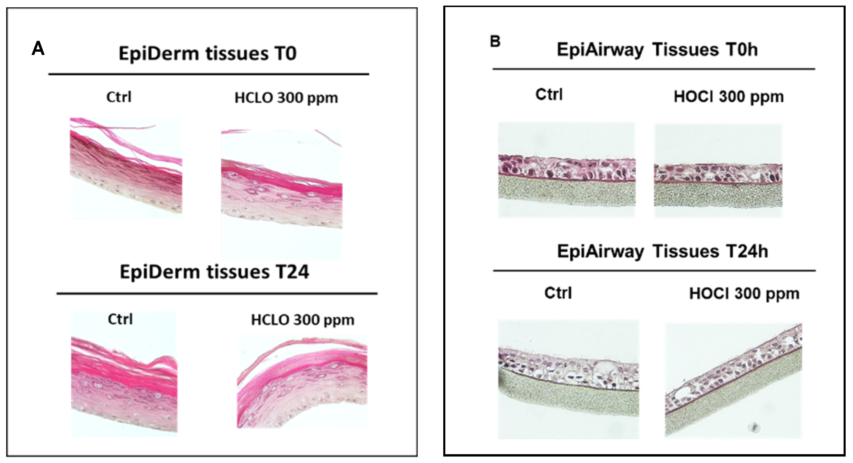 Ijerph 19 13163 g009