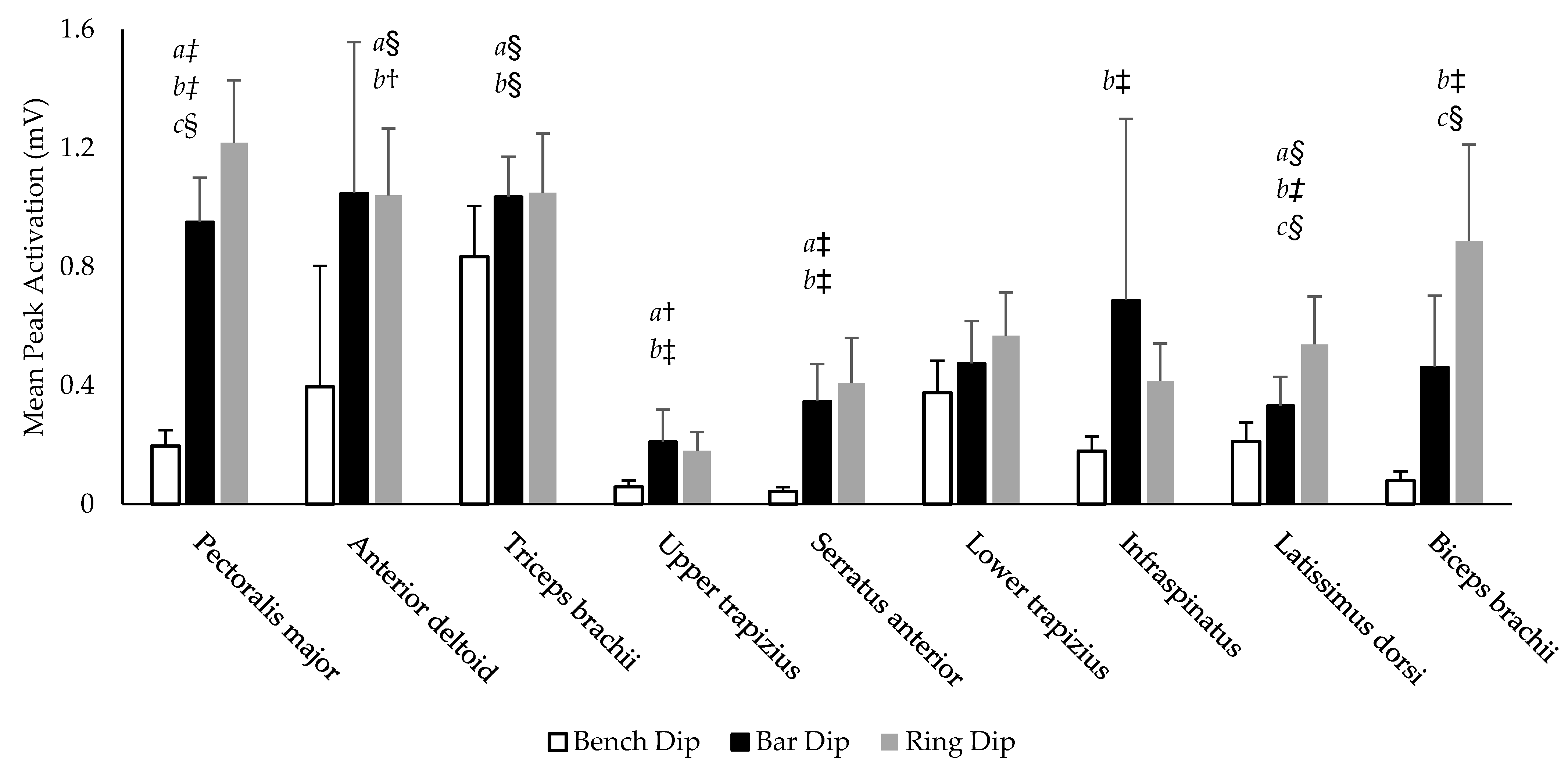 IJERPH Free FullText Bench, Bar, and Ring Dips Do Kinematics and
