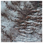 Ijerph 19 13267 i001