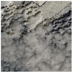 Ijerph 19 13267 i002