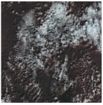 Ijerph 19 13267 i003