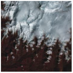 Ijerph 19 13267 i004