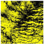 Ijerph 19 13267 i005