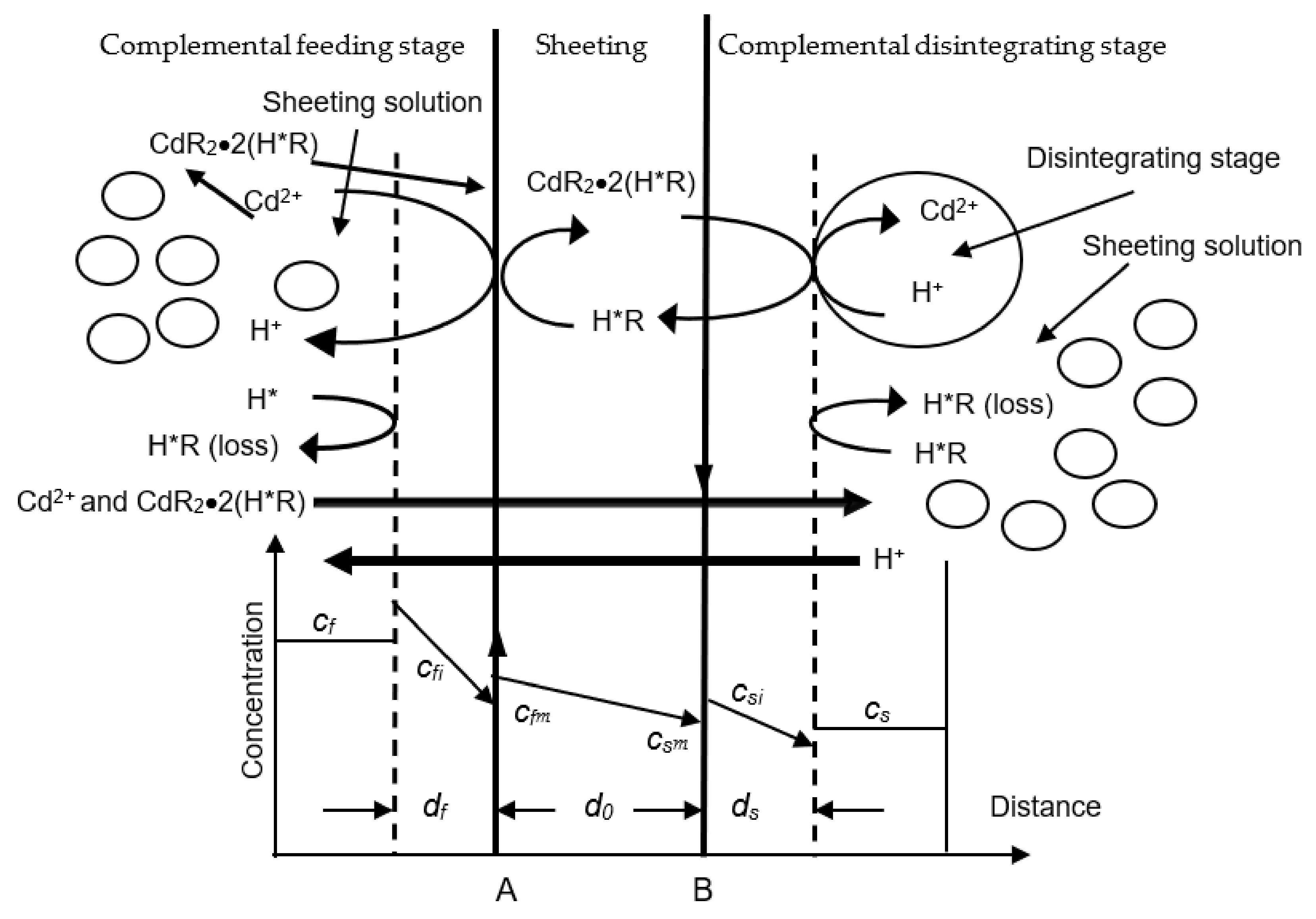 Ijerph 19 13281 g001