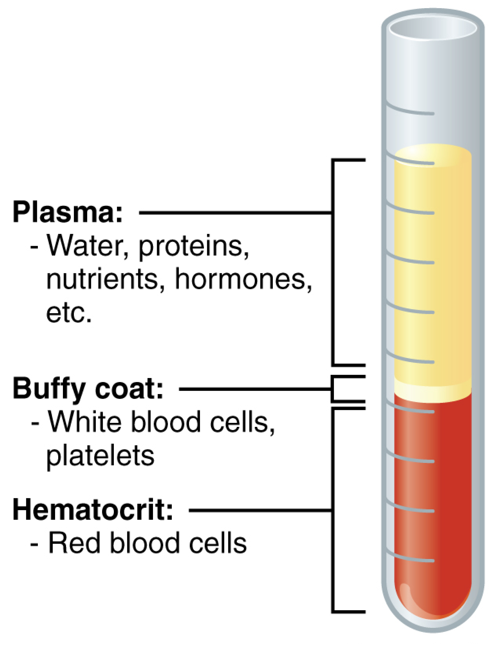 Ijerph 19 13299 g002