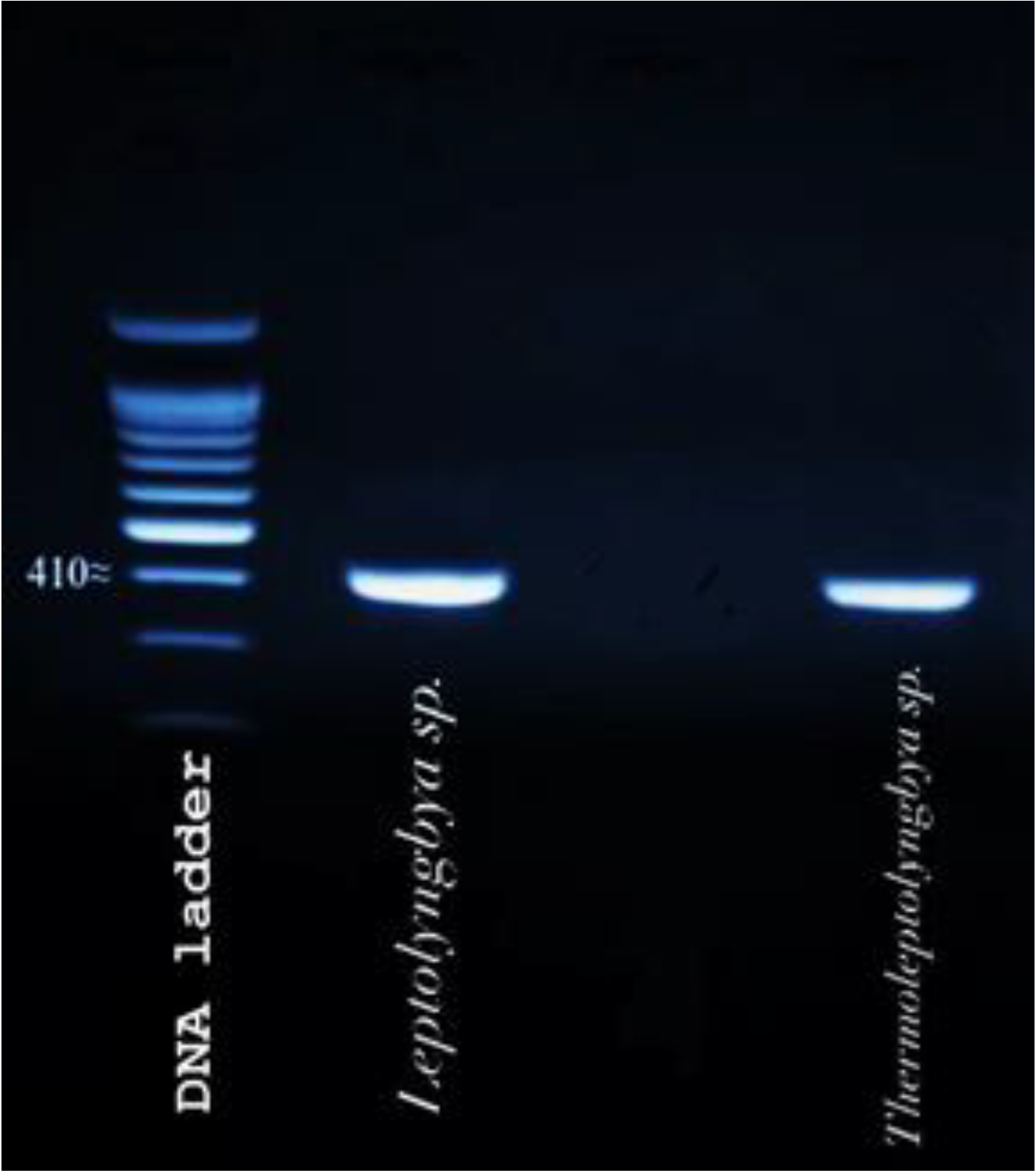 Ijerph 19 13305 g001 Ijerph 19 13305 g001