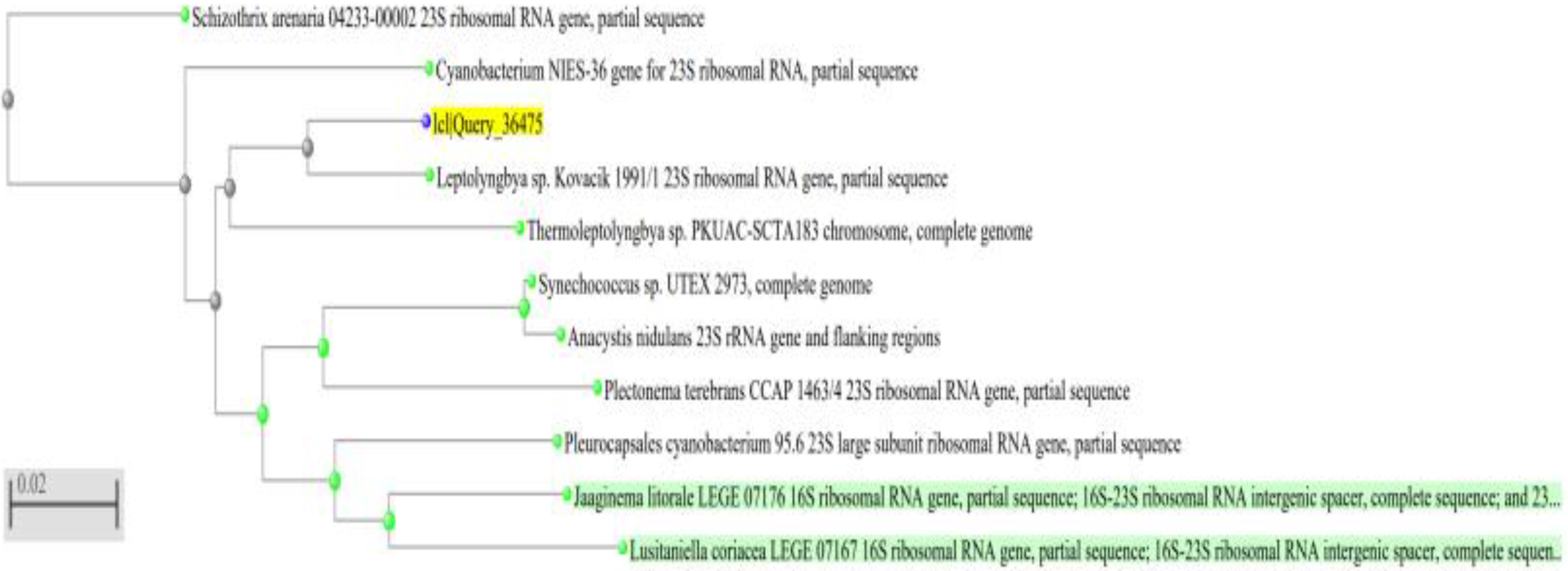 Ijerph 19 13305 g003 Ijerph 19 13305 g003