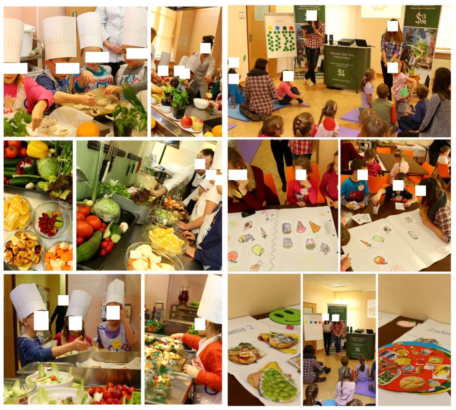 Ijerph 19 13307 g001