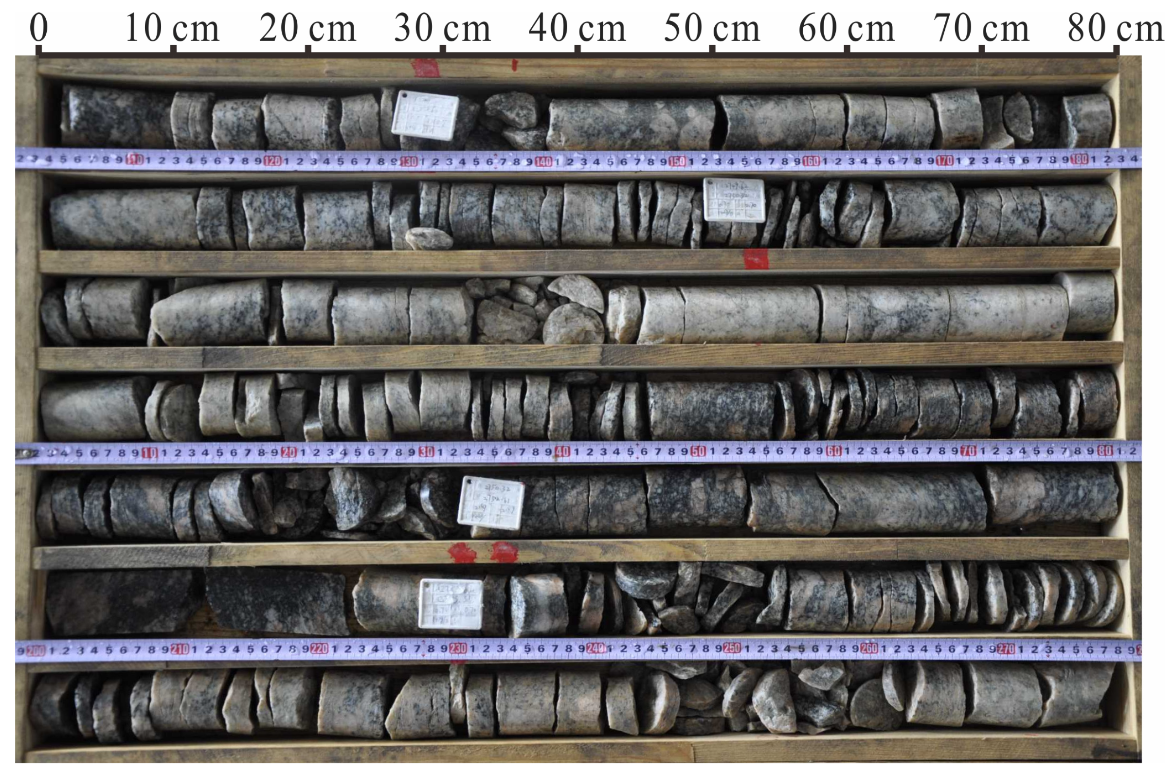 Ijerph 19 13351 g002