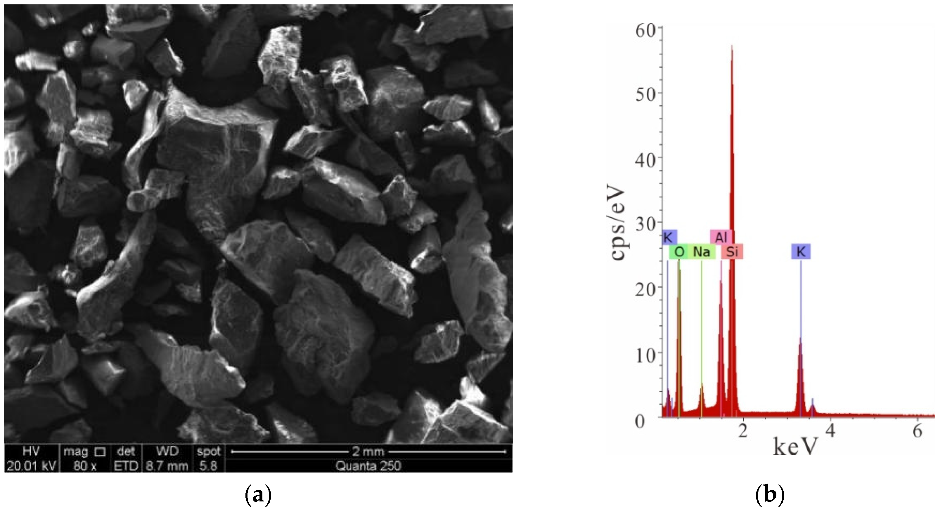 Ijerph 19 13351 g004