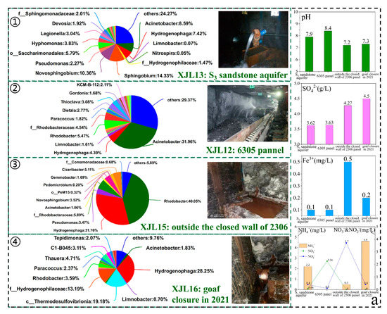 Coal Mining Activities Driving the Changes in Microbial