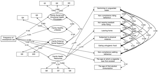 IJERPH | Free Full-Text | The Role of Family Health in Mediating the ...
