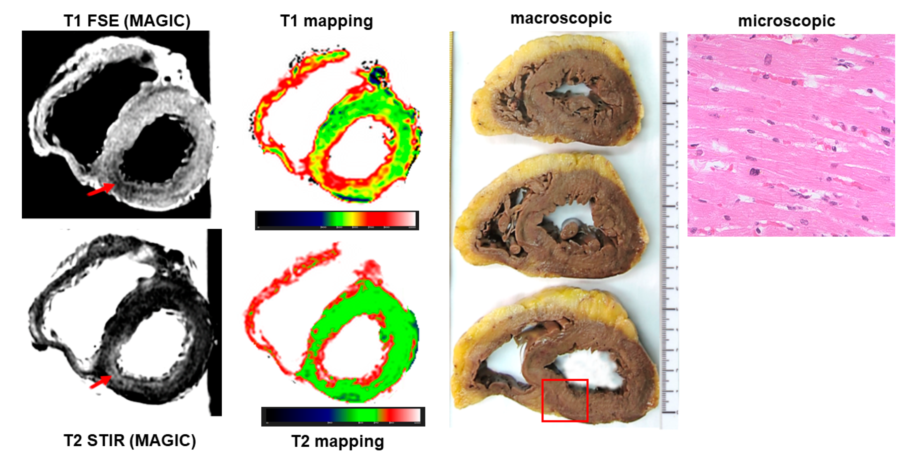 Ijerph 19 13395 g003