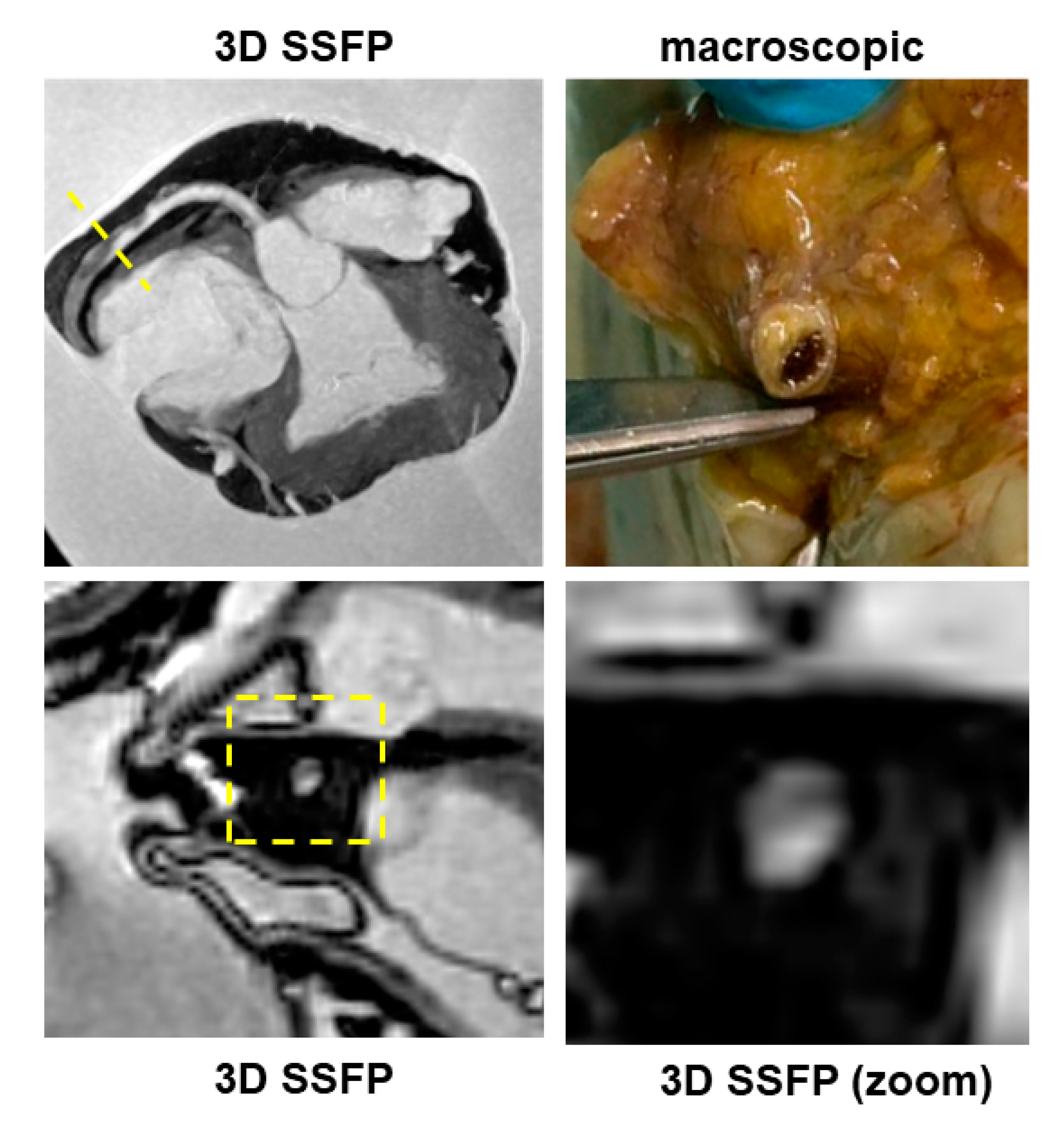 Ijerph 19 13395 g004