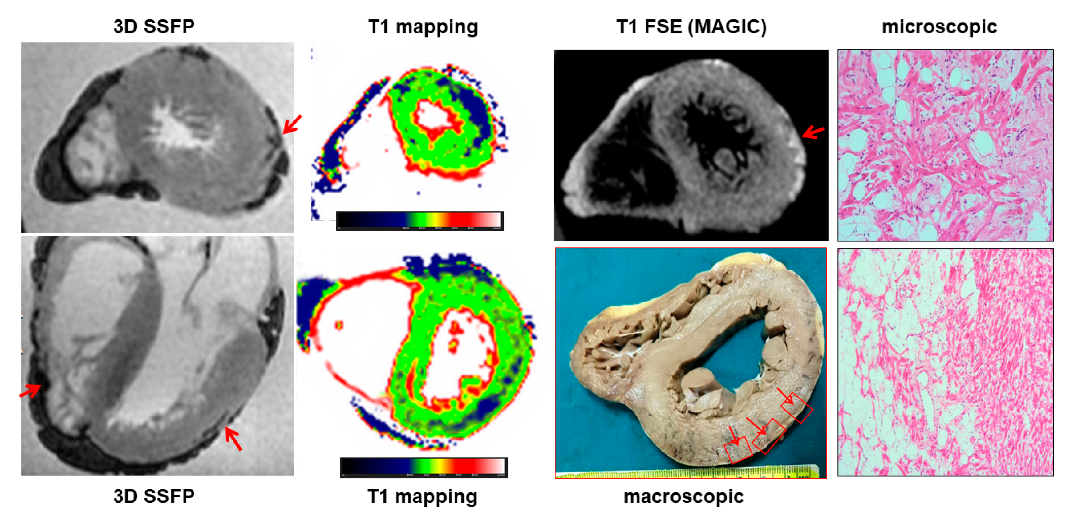 Ijerph 19 13395 g005