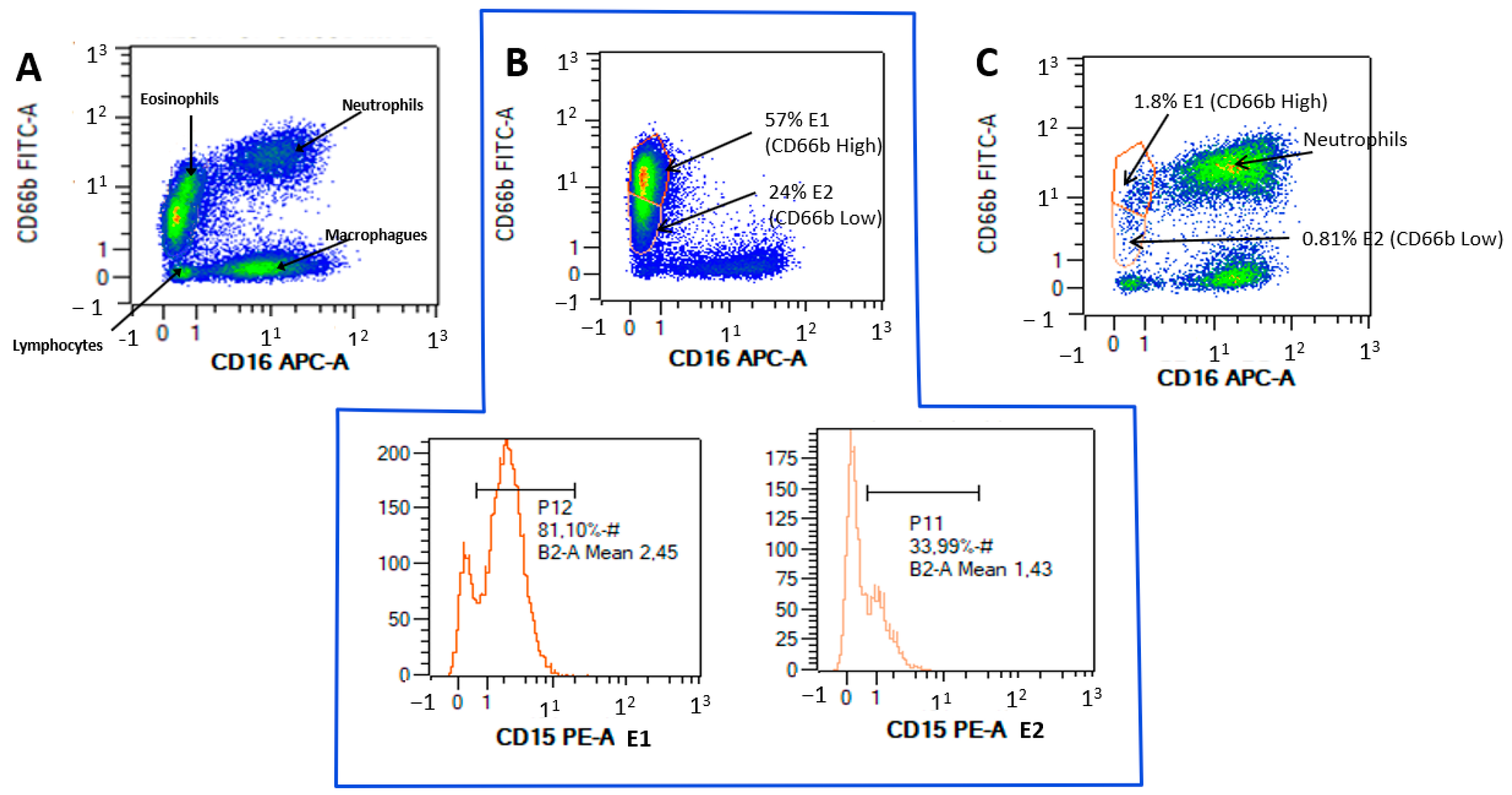IJERPH Free FullText Identification of Two Eosinophil Subsets in