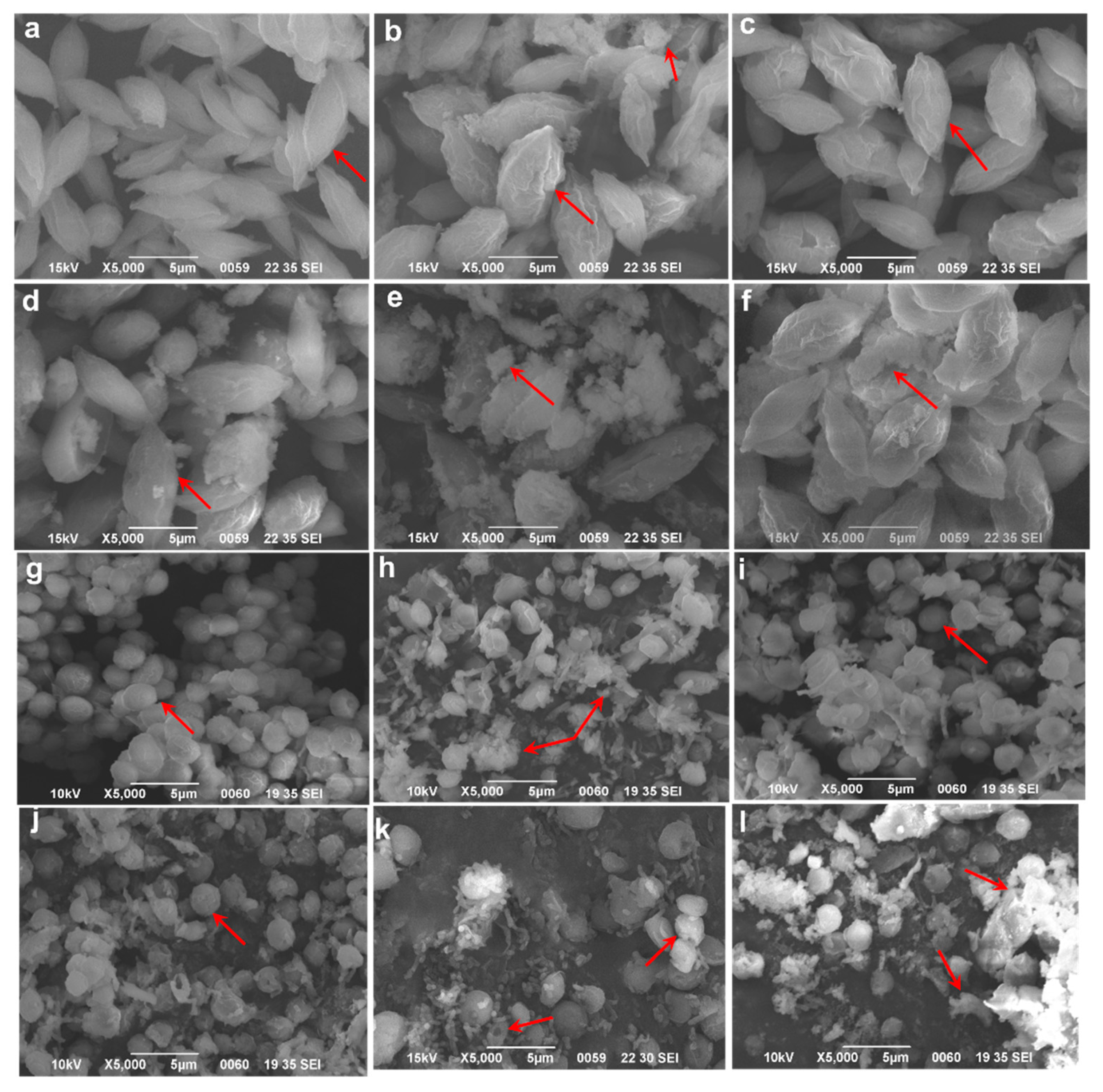 Ijerph 19 13415 g004