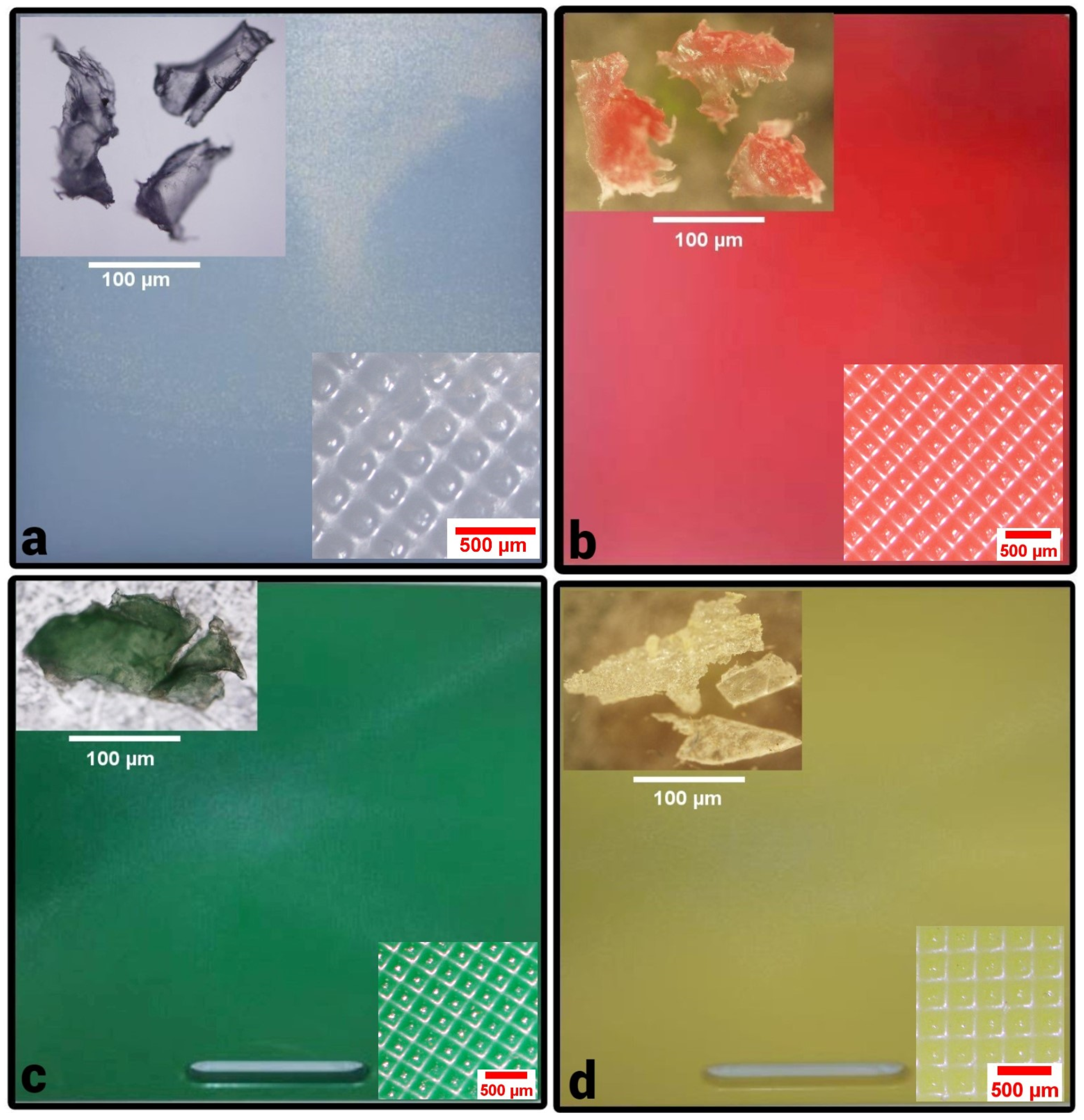 Ijerph 19 13442 g001