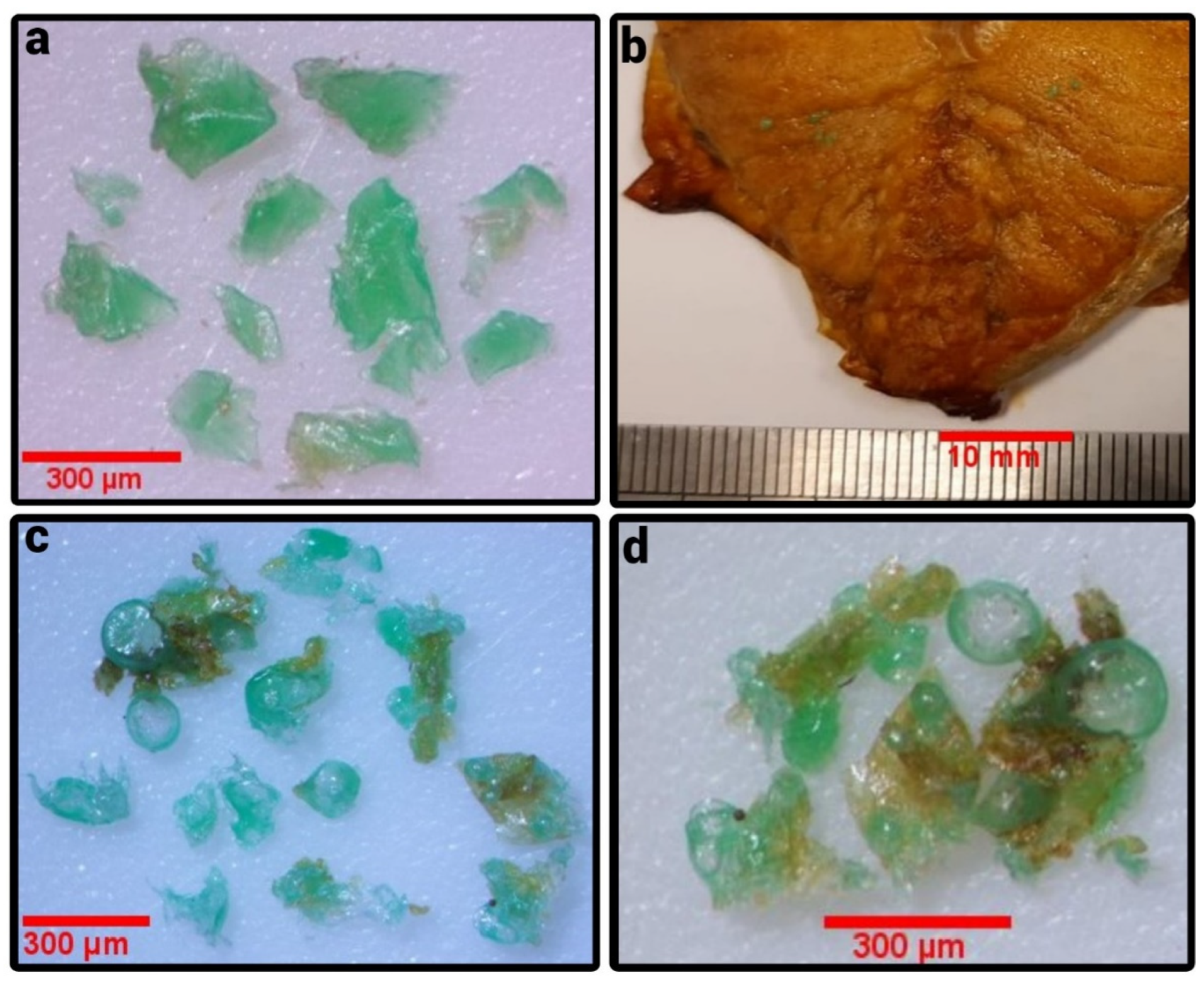 Ijerph 19 13442 g003