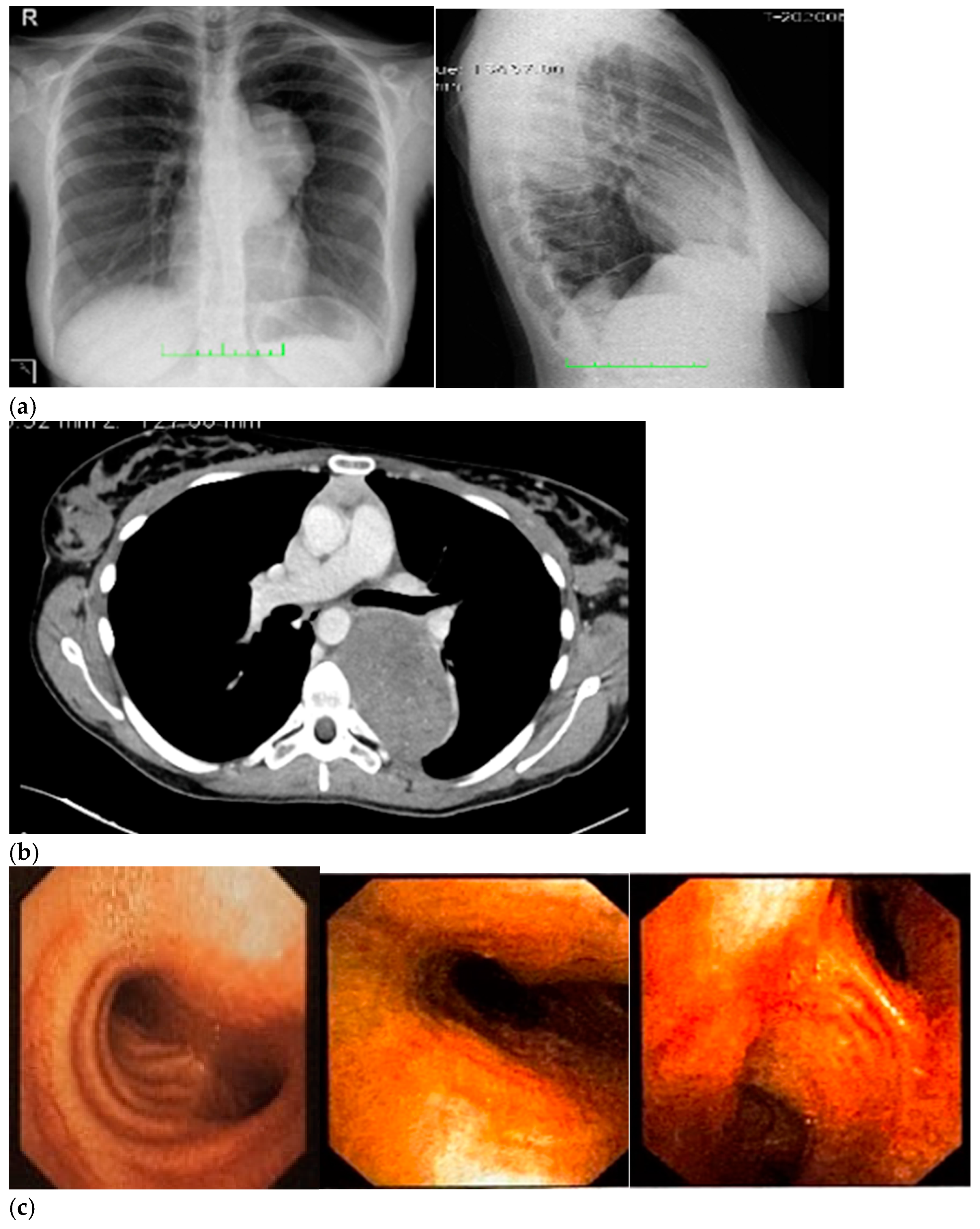 Ijerph 19 13448 g001a