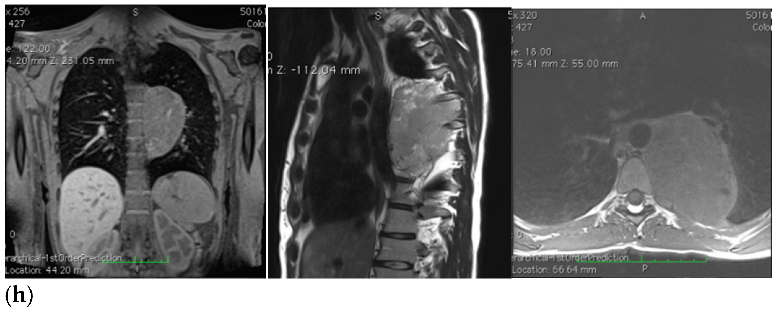 Ijerph 19 13448 g001c