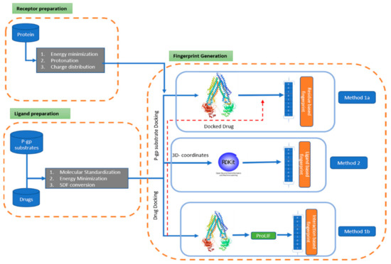 Pharmacophore Modeling Using Machine Learning for Screening the Blood–Brain Barrier Permeation of Xenobiotics