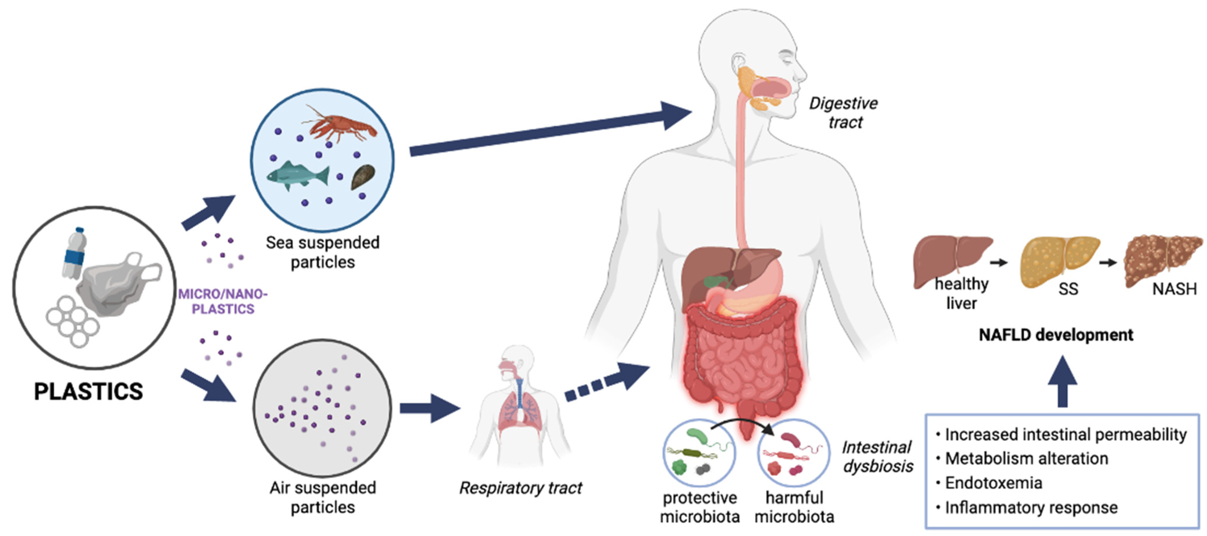 Diujpurehealth Research Liver 81 - y6q0oyu